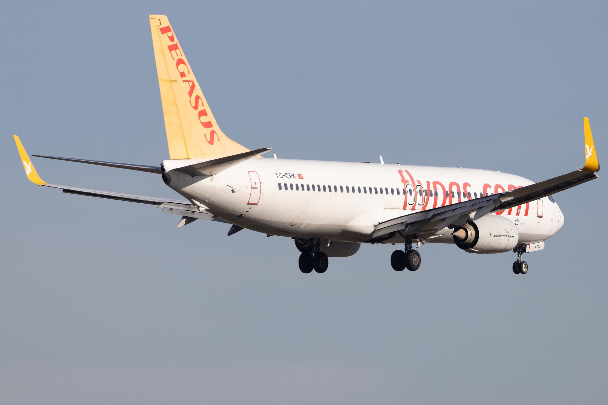 Frankfurt Airport: Pegasus (PC / PGT) | Operator: Pegasus Airlines | Boeing 737-82R B738 | TC-CPK | MSN 40009