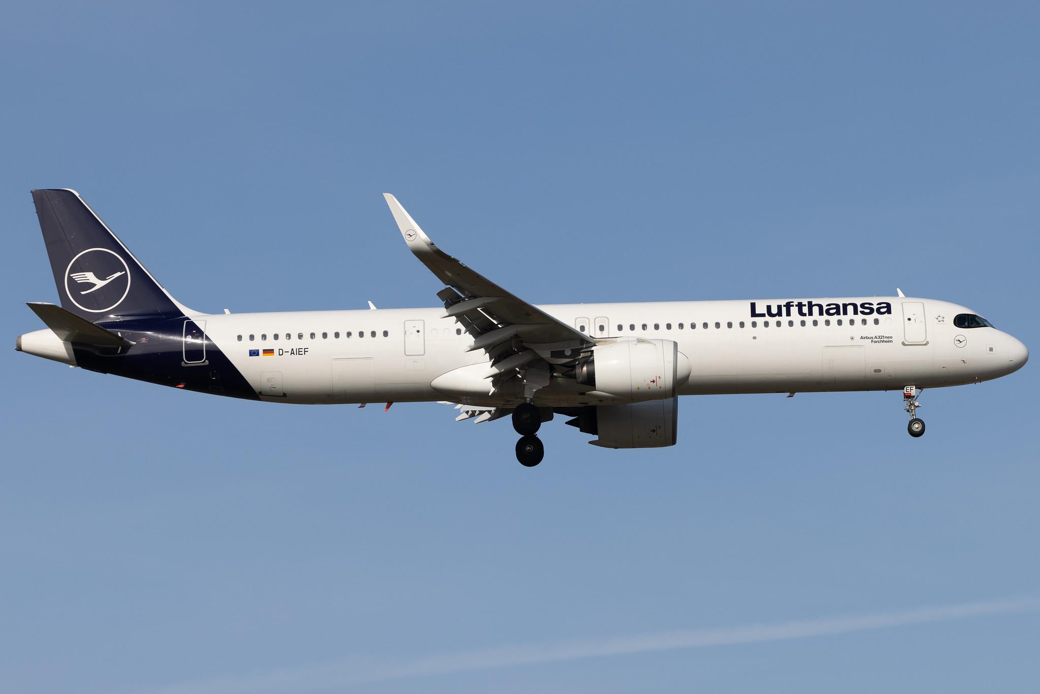 Frankfurt Airport: Lufthansa (LH / DLH) | Airbus A321-271NX A21N | D-AIEF | MSN 10010
