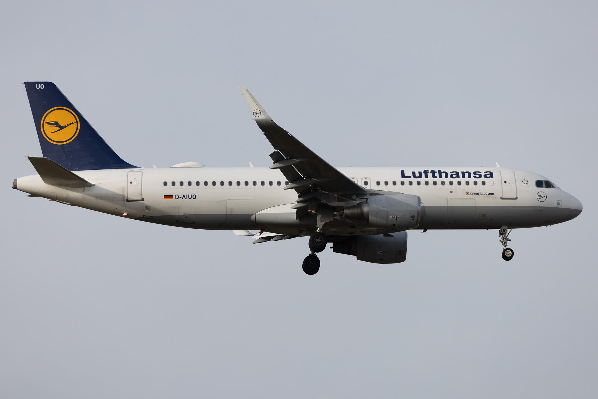Frankfurt Airport: Lufthansa (LH / DLH) | Airbus A320-214 A320 | D-AIUO | MSN 6636
