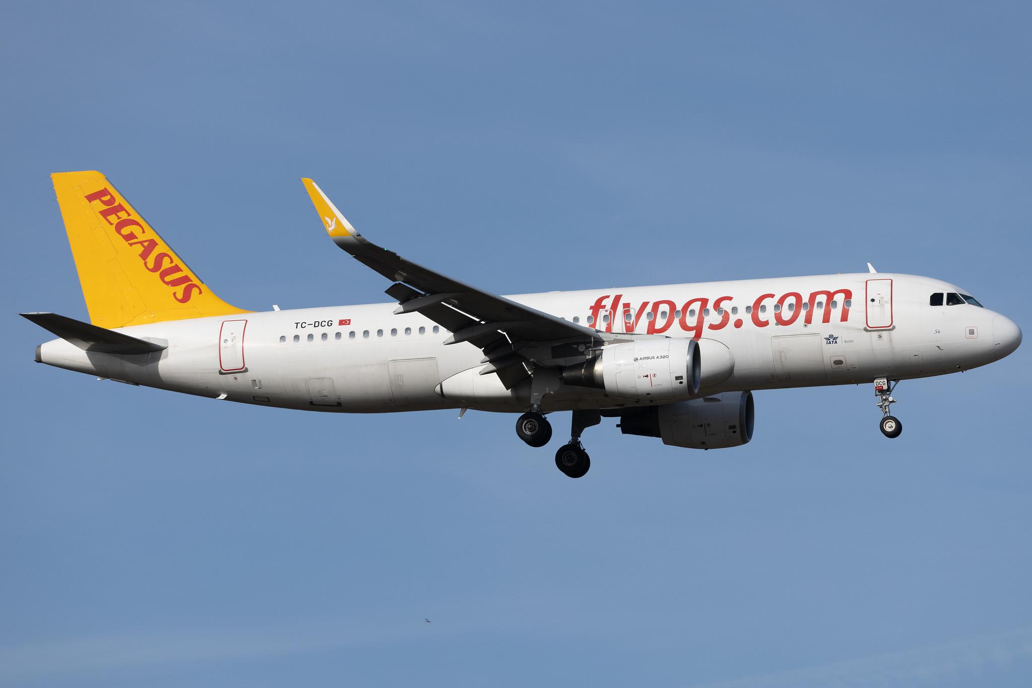 Frankfurt Airport: Pegasus (PC / PGT) | Operator: Pegasus Airlines | Airbus A320-216 A320 | TC-DCG | MSN 06597