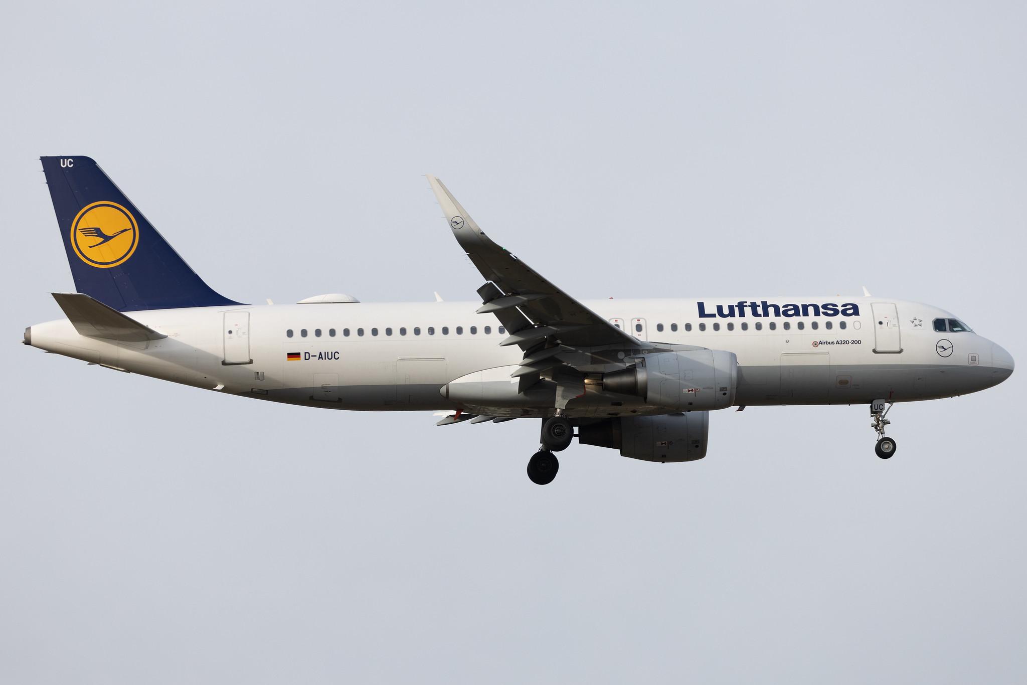 Frankfurt Airport: Lufthansa (LH / DLH) | Airbus A320-214 A320 | D-AIUC | MSN 6006