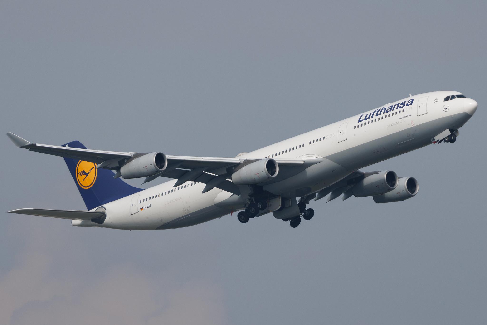 Frankfurt Airport: Lufthansa (LH / DLH) | Airbus A340-313 A343 | D-AIGO | MSN 0233