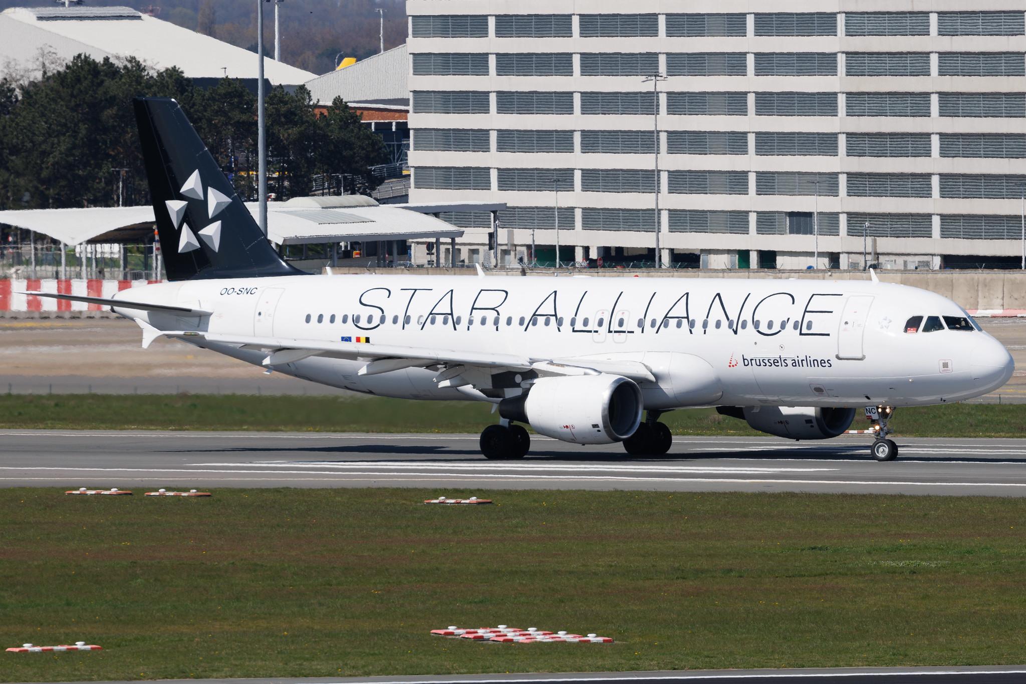 Brussels Airport: Brussels Airlines (SN / BEL) | Livery: Star Alliance Livery | Airbus A320-214 A320 | OO-SNC | MSN 1797