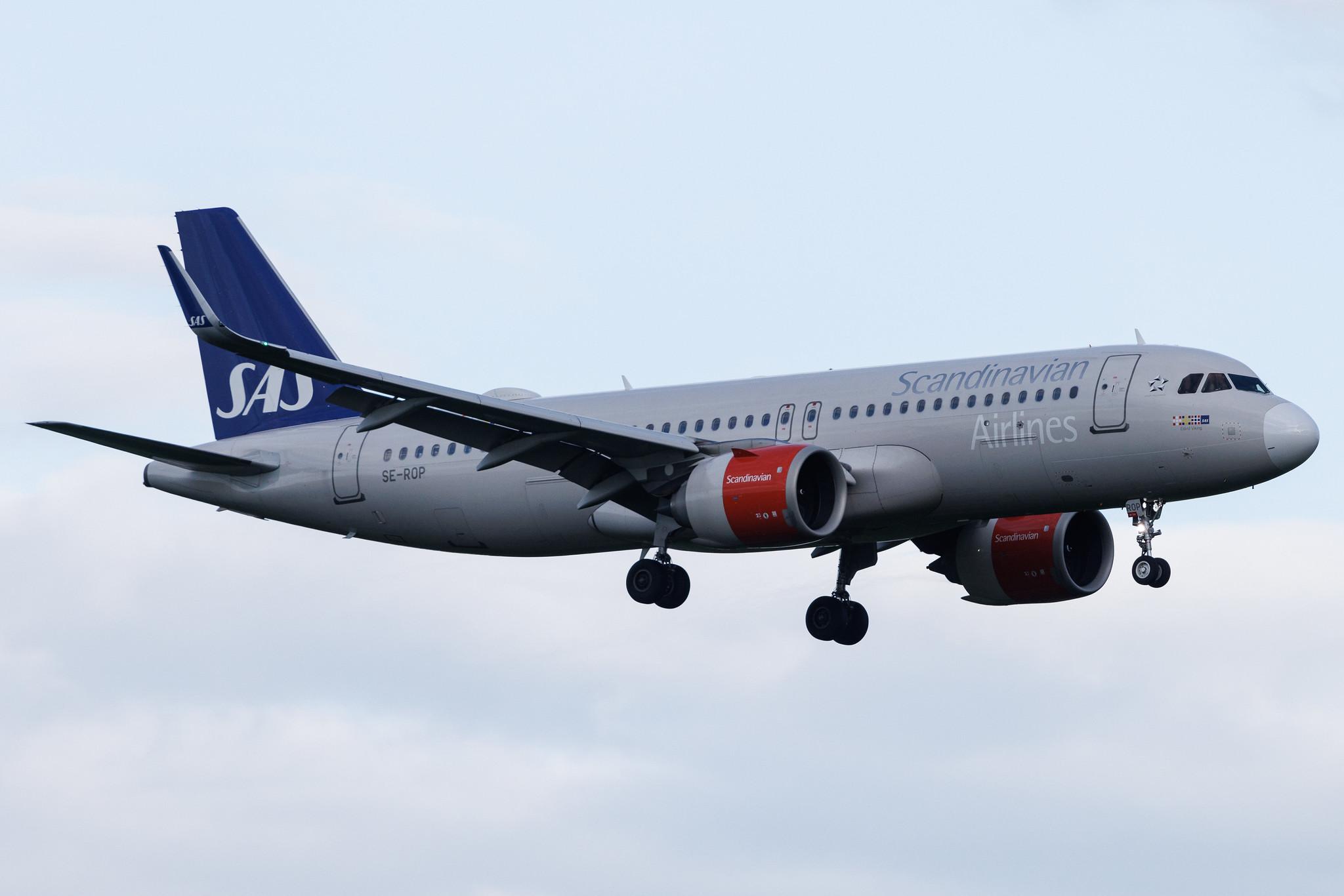Brussels Airport: SAS (SK / SAS) | Airbus A320-251N A20N | SE-ROP | MSN 8350