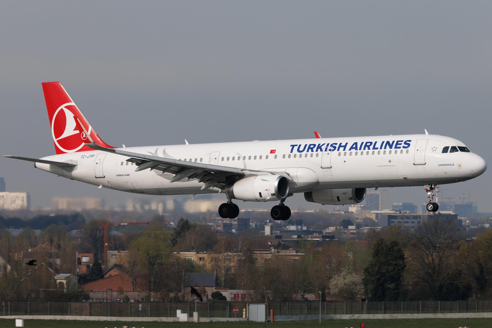 Brussels Airport: Turkish Airlines (TK / THY) | Airbus A321-231 A321 | TC-JTP | MSN 7516