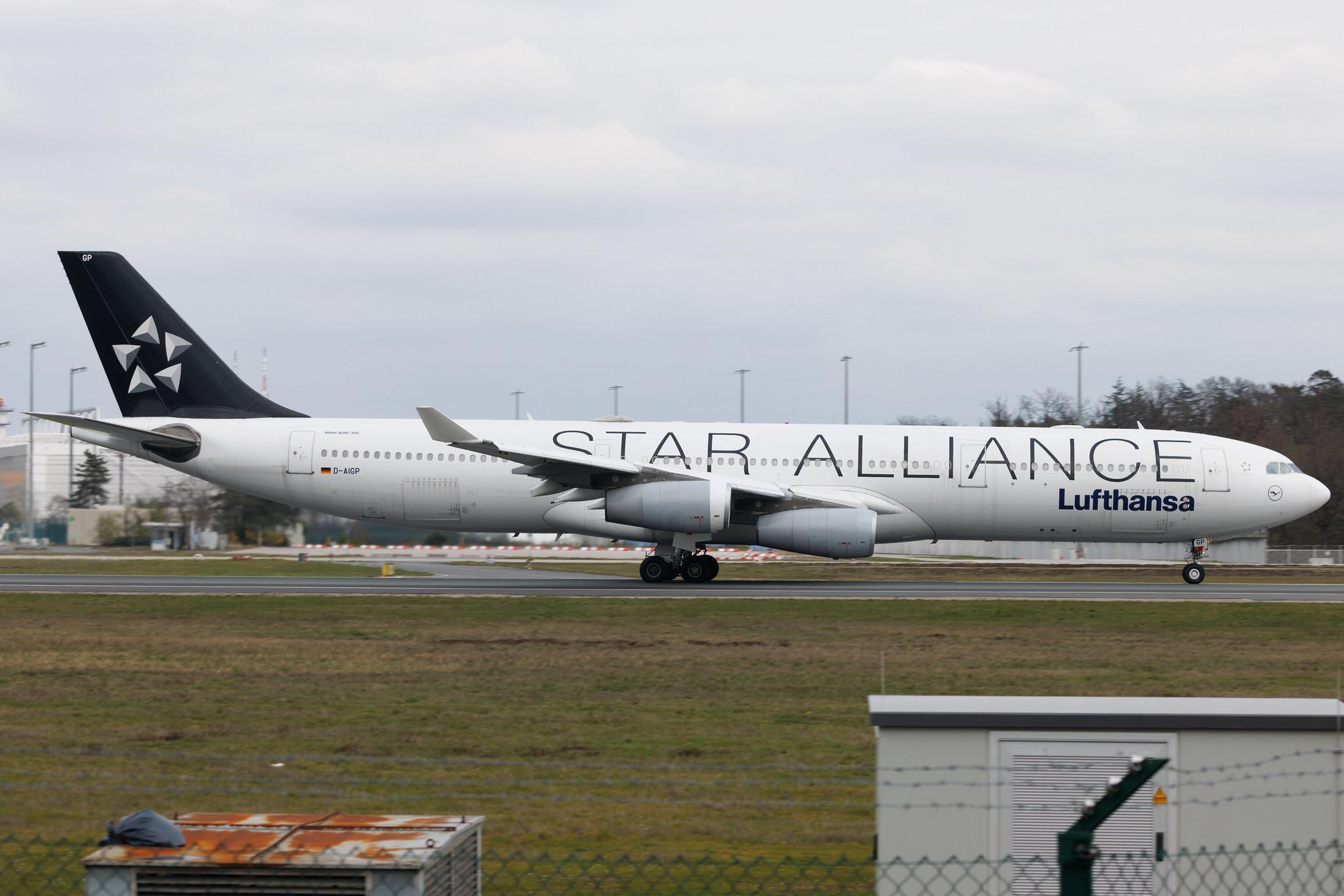 Frankfurt Airport: Lufthansa (LH / DLH) | Livery: Star Alliance Livery | Airbus A340-313 A343 | D-AIGP | MSN 0252