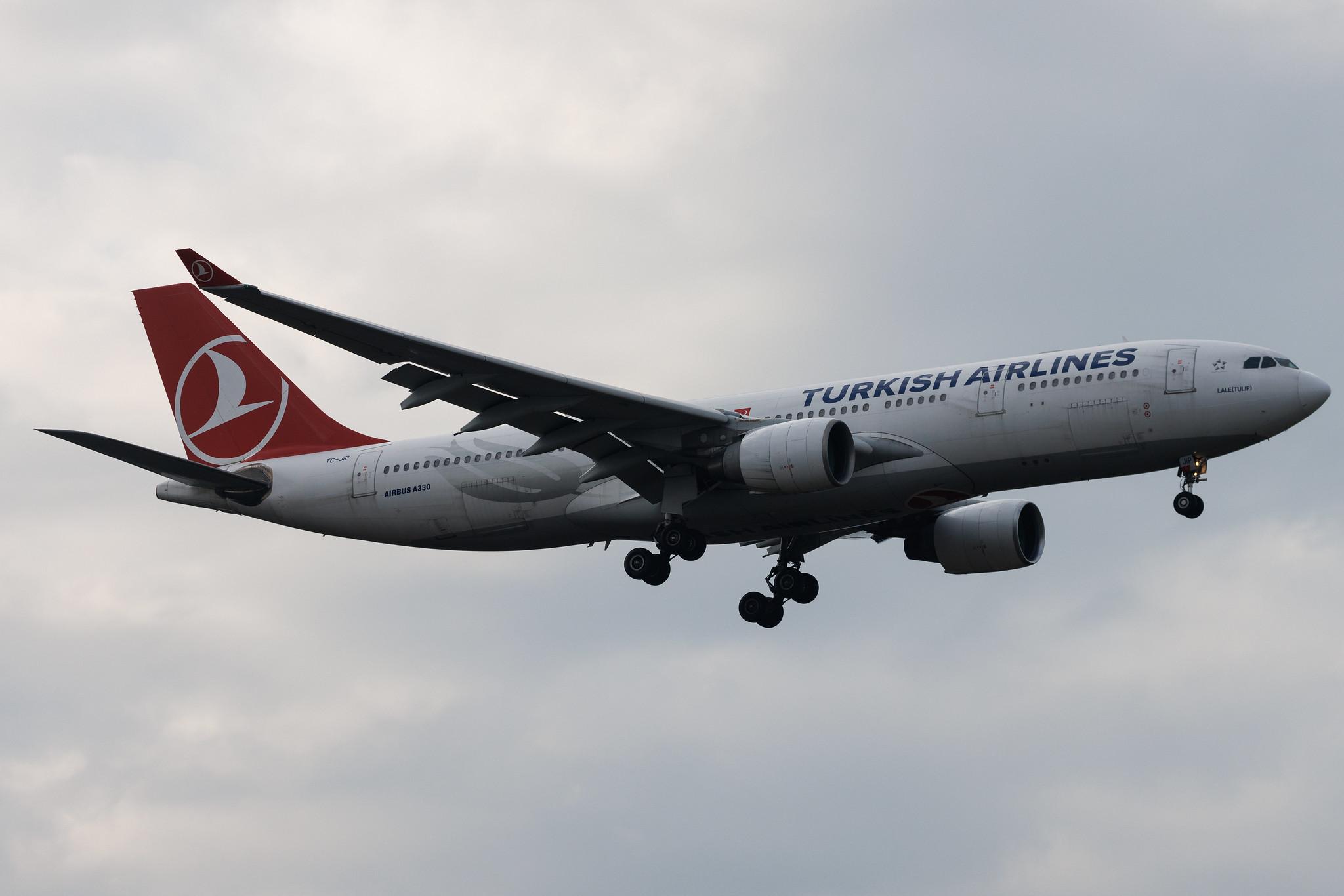 Frankfurt Airport: Turkish Airlines (TK / THY) | Airbus A330-223 A332 | TC-JIP | MSN 0876