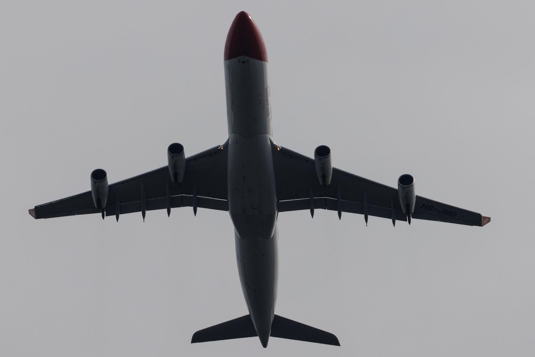 Flughafen Zürich: Edelweiss Air (WK / EDW) | Airbus A340-313 A343 | HB-JMD | MSN 556