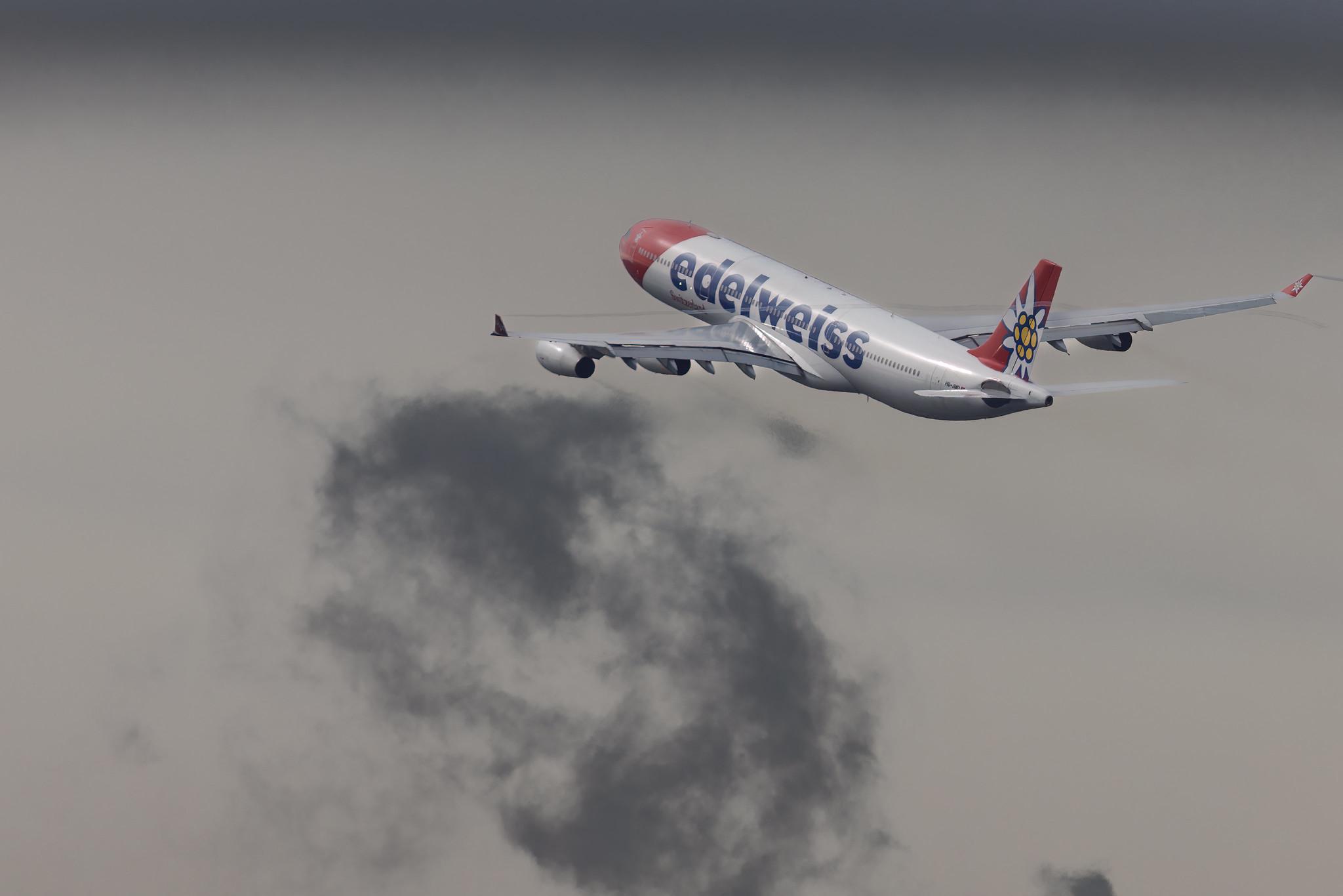Flughafen Zürich: Edelweiss Air (WK / EDW) | Airbus A340-313 A343 | HB-JMD | MSN 556