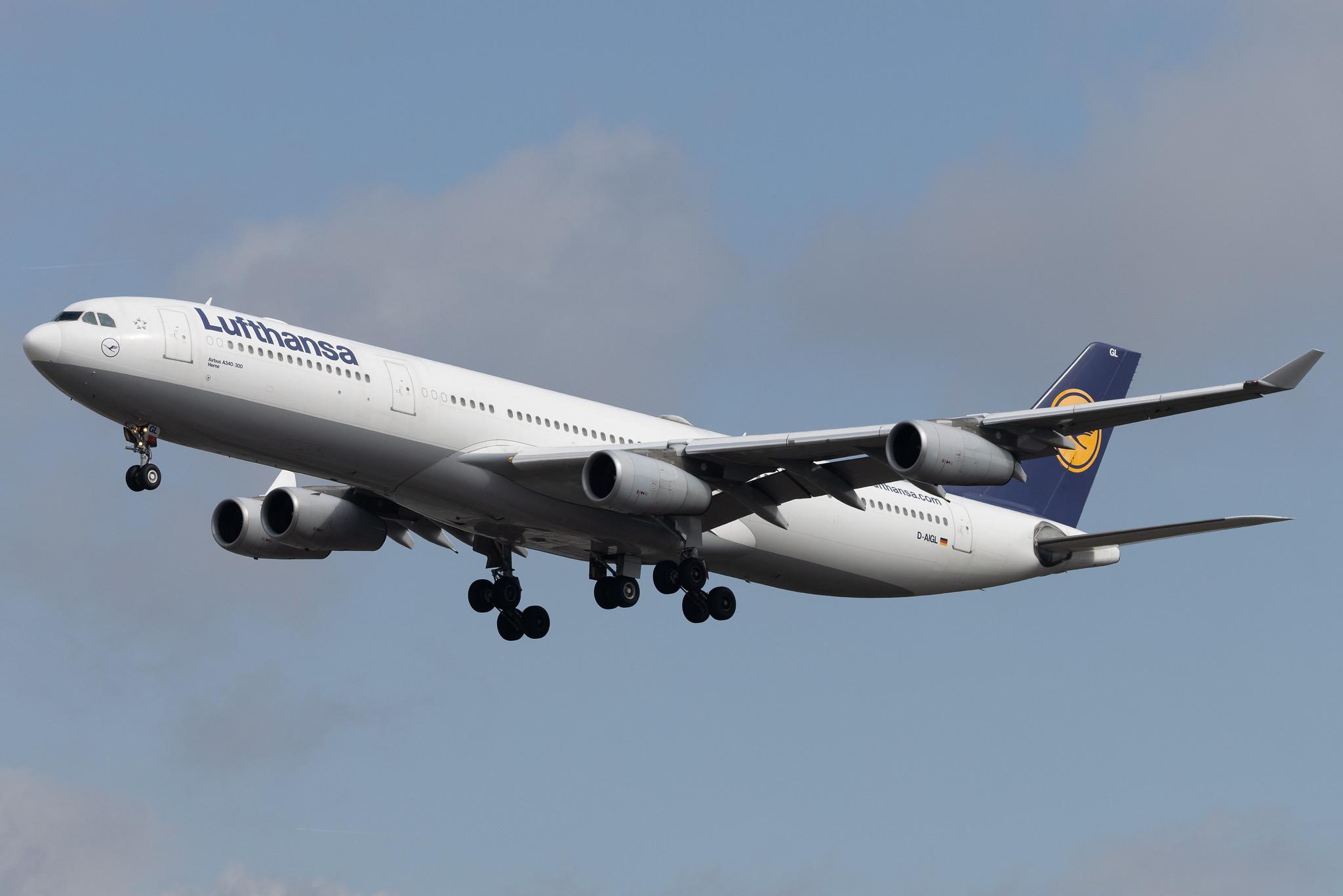 Frankfurt Airport: Lufthansa (LH / DLH) | Airbus A340-313 A343 | D-AIGL | MSN 0135