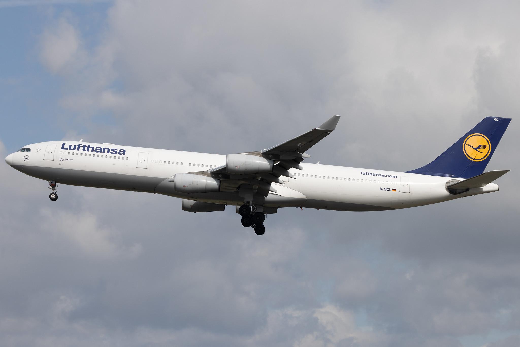 Frankfurt Airport: Lufthansa (LH / DLH) | Airbus A340-313 A343 | D-AIGL | MSN 0135