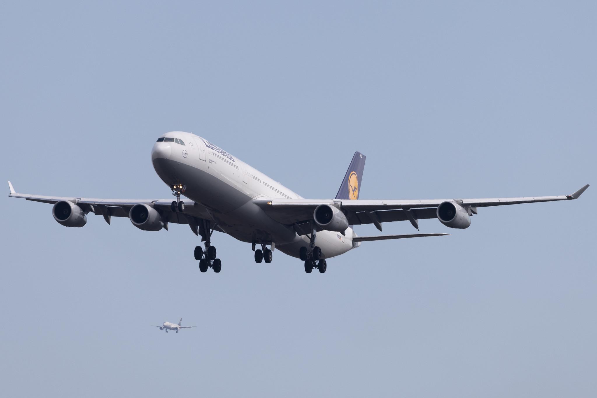 Frankfurt Airport: Lufthansa (LH / DLH) | Airbus A340-313 A343 | D-AIGL | MSN 0135