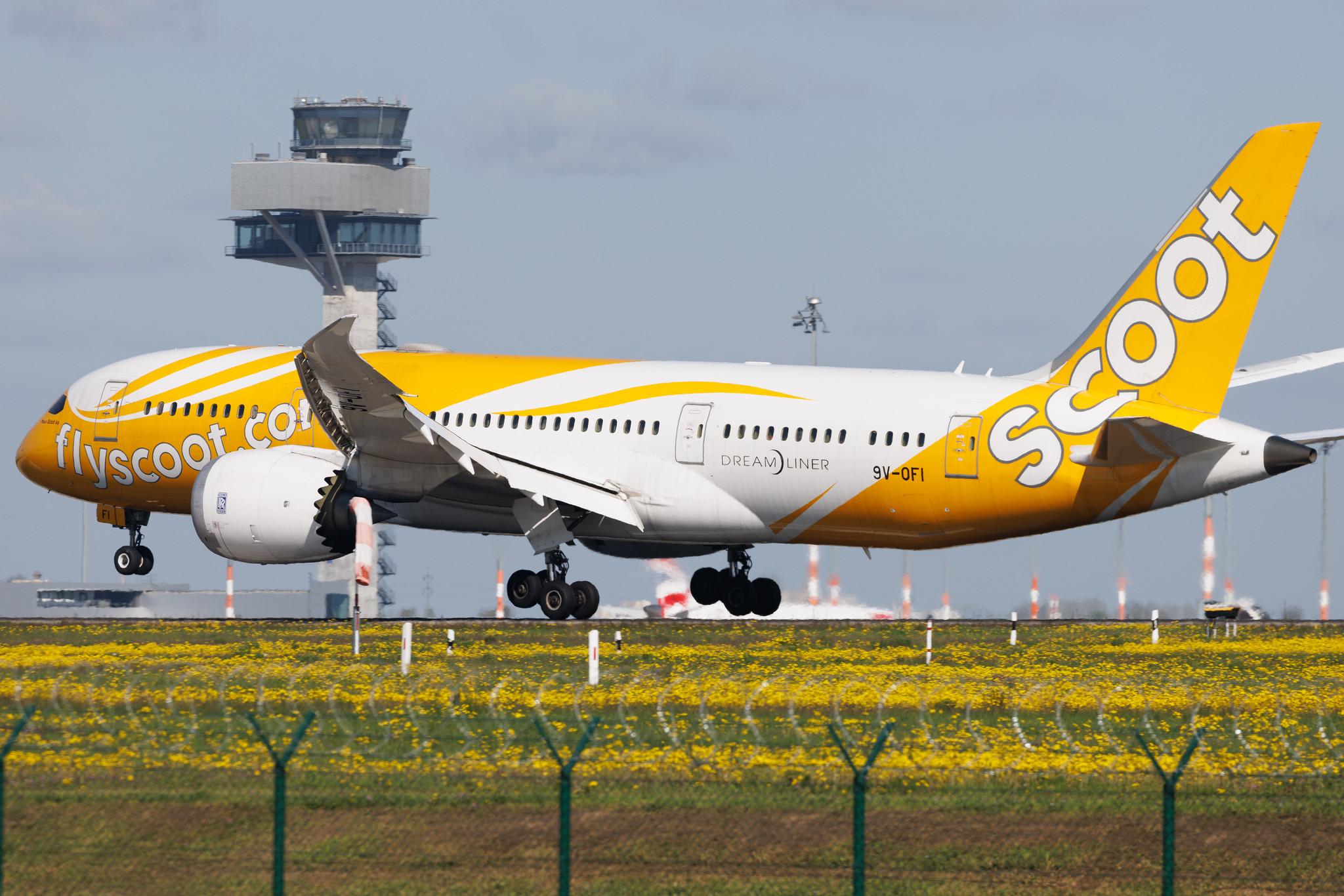Flughafen Berlin Brandenburg: Scoot (TR / TGW) | Boeing 787-8 Dreamliner B788 | 9V-OFI | MSN 37125