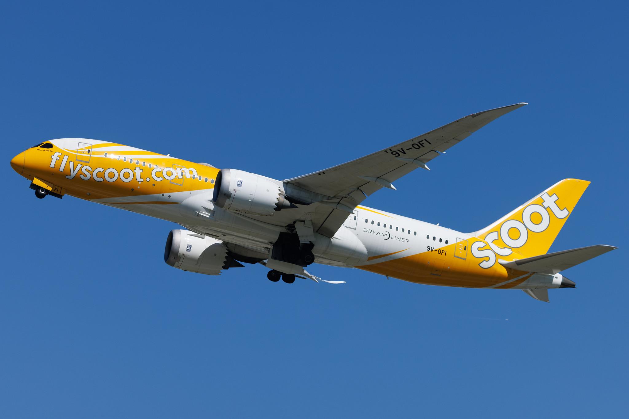 Flughafen Berlin Brandenburg: Scoot (TR / TGW) | Boeing 787-8 Dreamliner B788 | 9V-OFI | MSN 37125