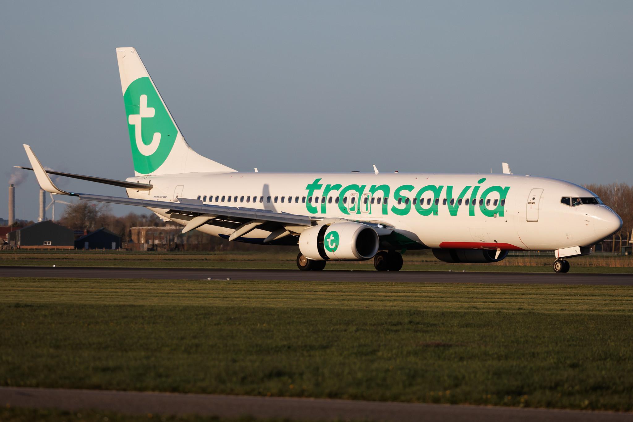 Amsterdam Schiphol: Transavia (HV / TRA) | Boeing 737-8K2 B738 | PH-HSJ | MSN 42150