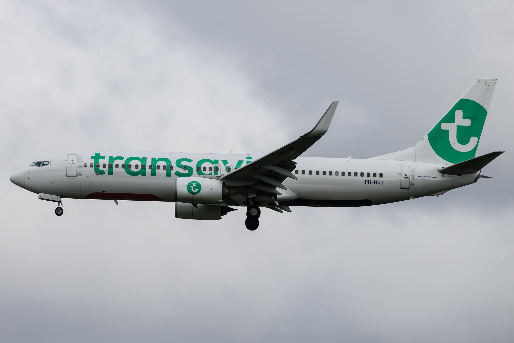 Amsterdam Schiphol: Transavia (HV / TRA) | Boeing 737-8K2 B738 | PH-HSJ | MSN 42150