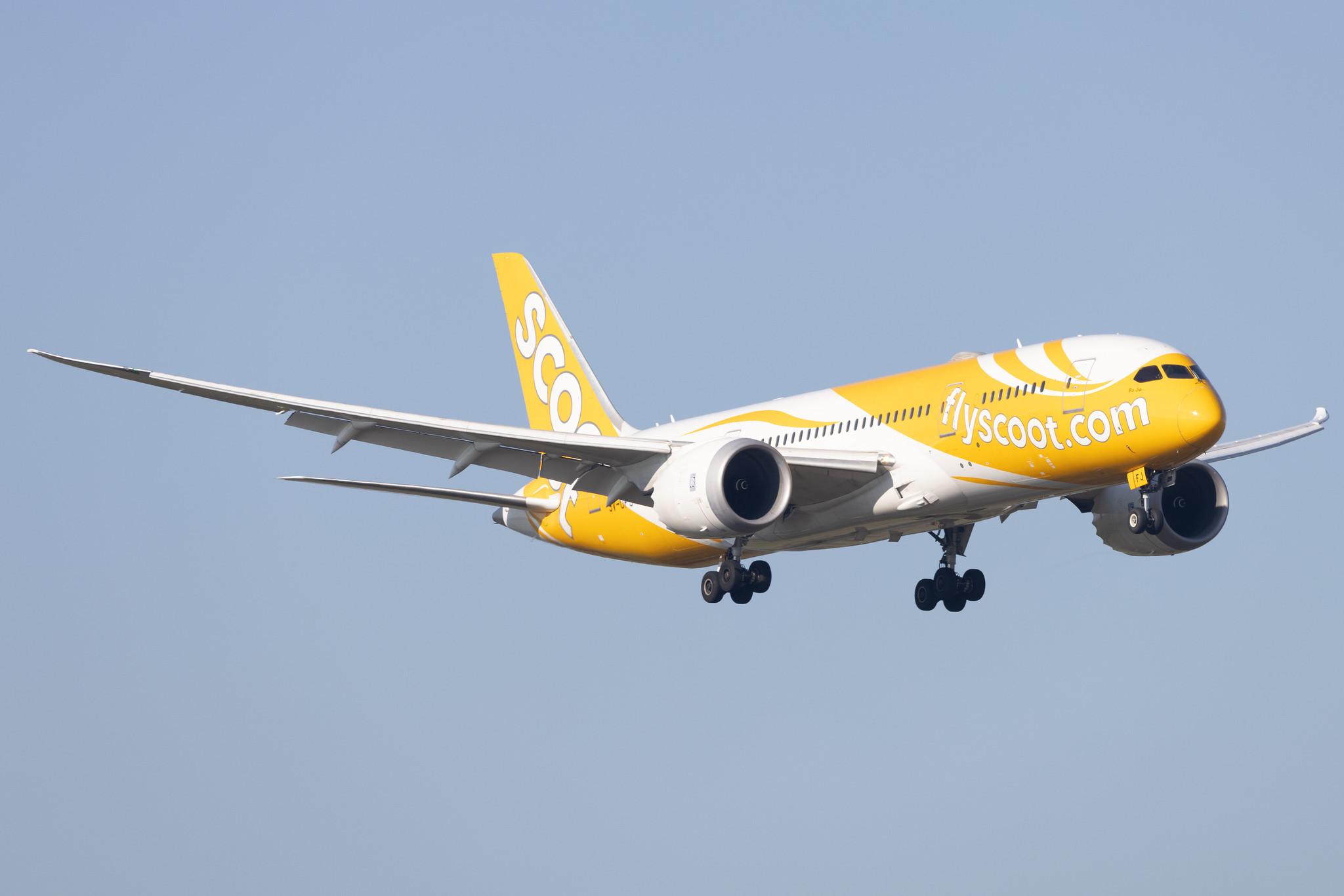 Flughafen Berlin Brandenburg: Scoot (TR / TGW) |  Boeing 787-8 Dreamliner B788 | 9V-OFJ | MSN 37126