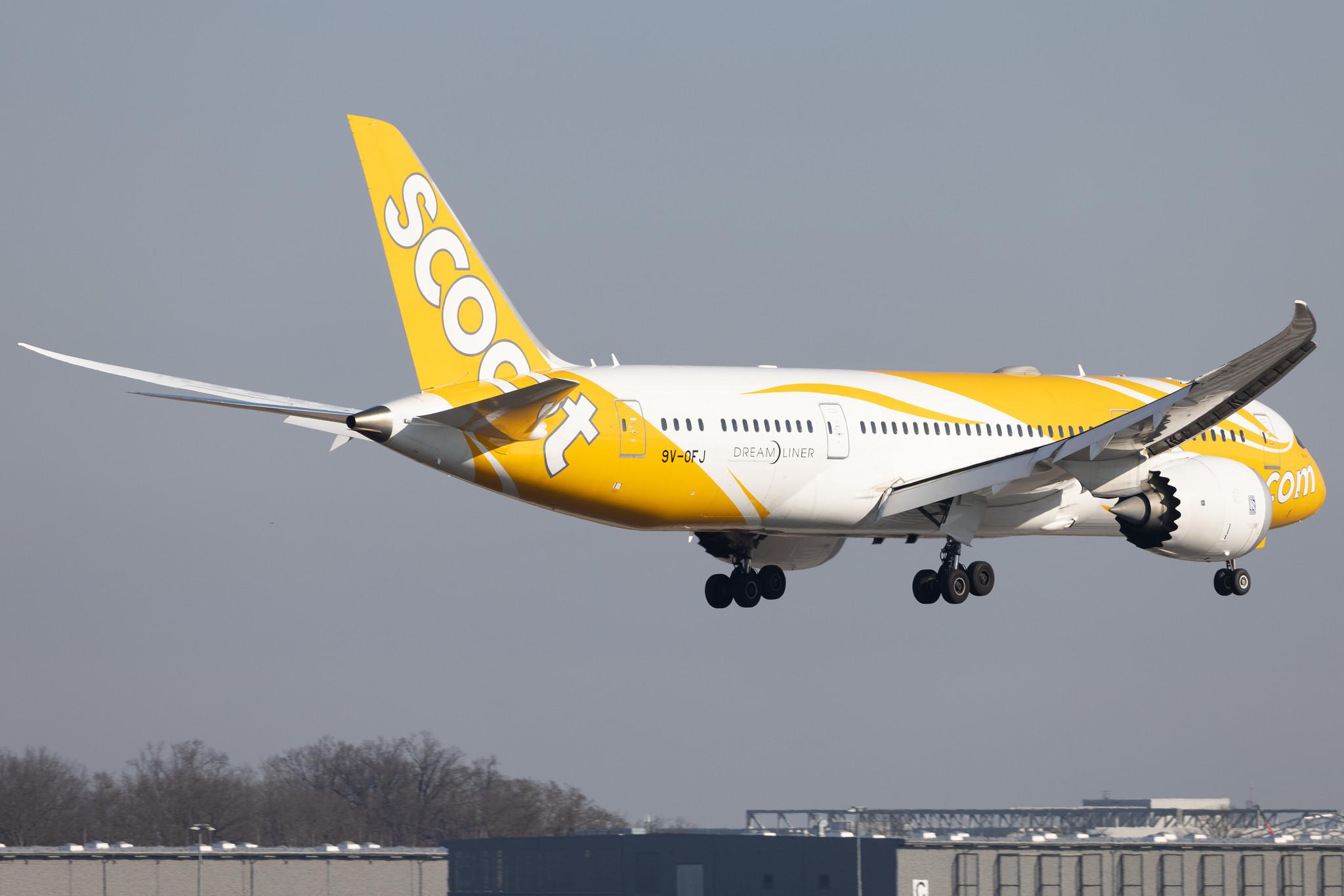 Flughafen Berlin Brandenburg: Scoot (TR / TGW) |  Boeing 787-8 Dreamliner B788 | 9V-OFJ | MSN 37126
