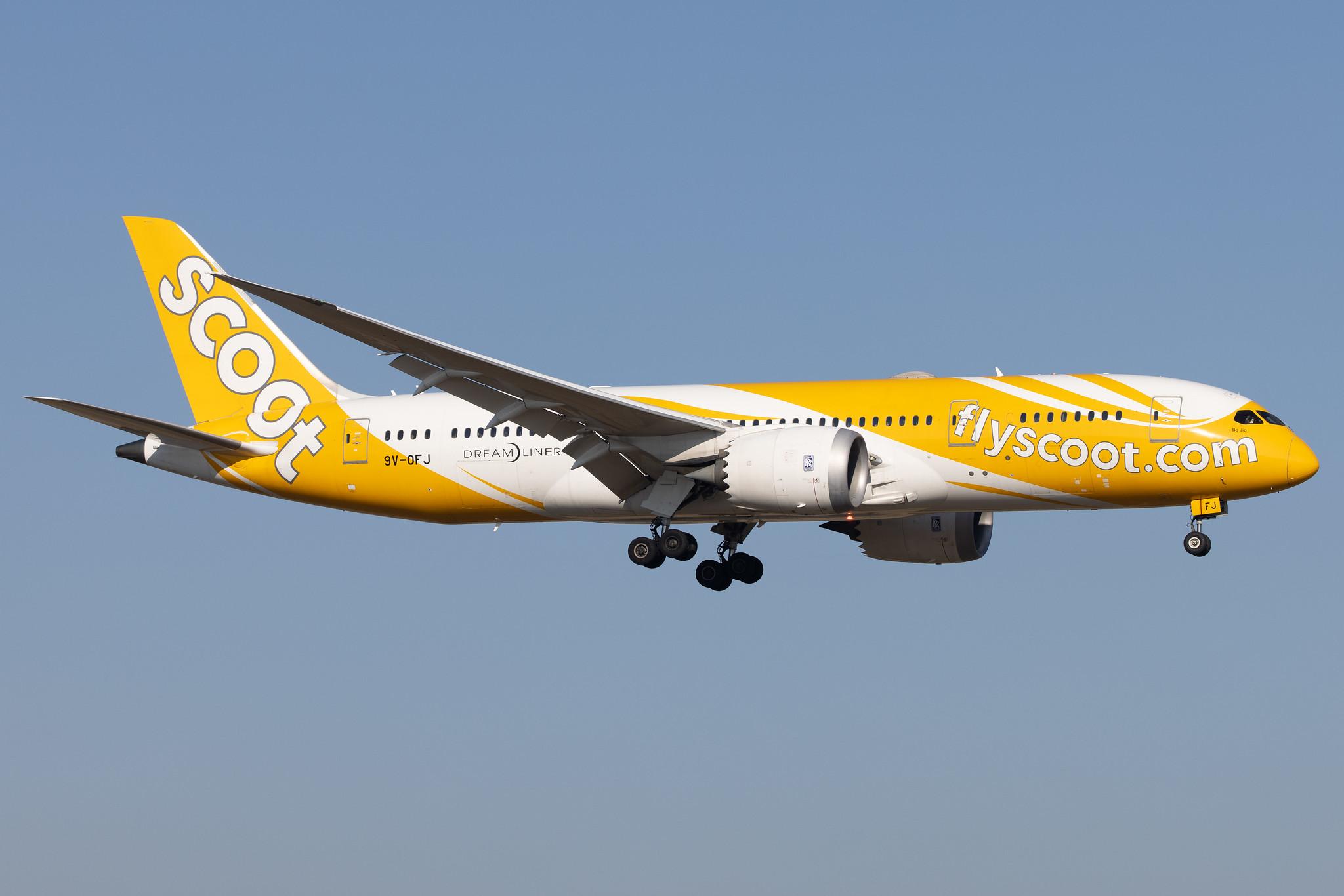 Flughafen Berlin Brandenburg: Scoot (TR / TGW) |  Boeing 787-8 Dreamliner B788 | 9V-OFJ | MSN 37126