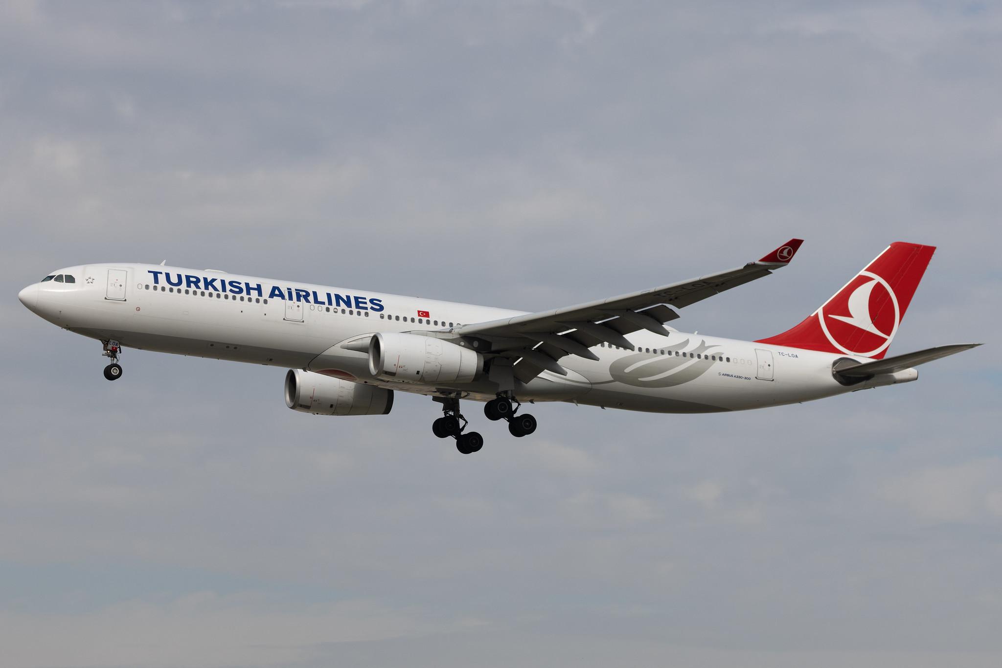 Frankfurt Airport: Turkish Airlines (TK / THY) | Airbus A330-343 A333 | TC-LOA | MSN 1483