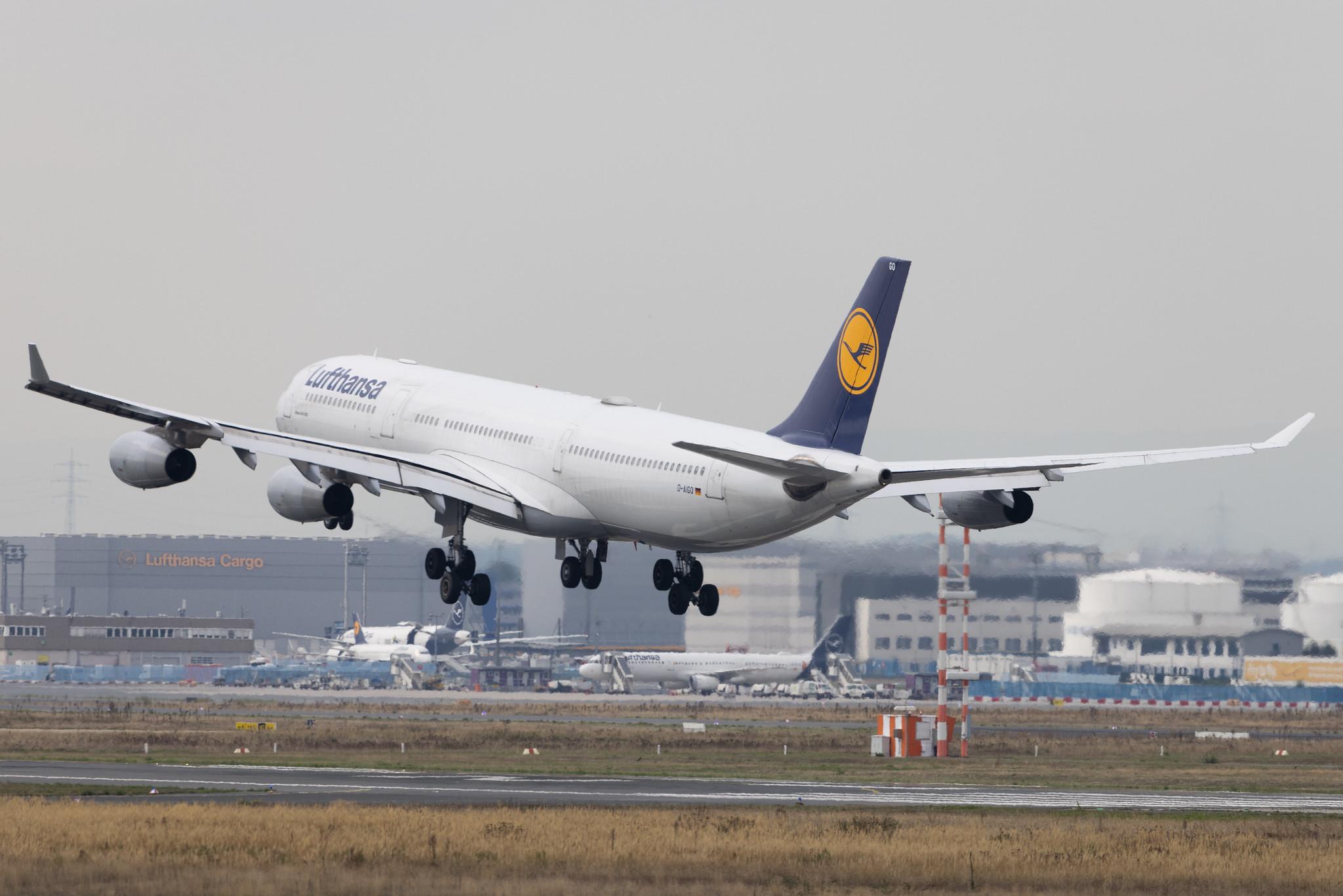 Frankfurt Airport: Lufthansa (LH / DLH) | Airbus A340-313 A343 | D-AIGO | MSN 0233