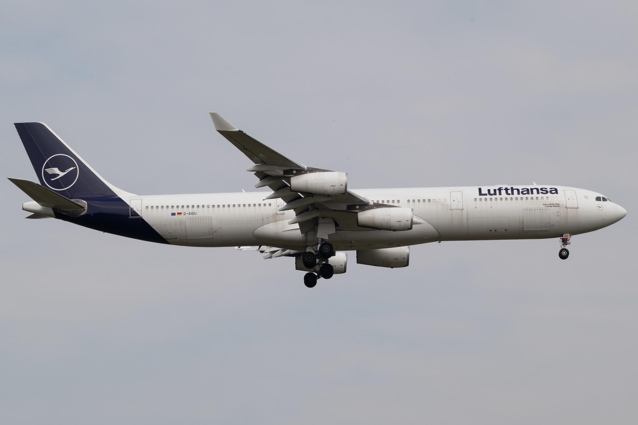 Frankfurt Airport: Lufthansa (LH / DLH) | Airbus A340-313 A343 | D-AIGU | MSN 0321