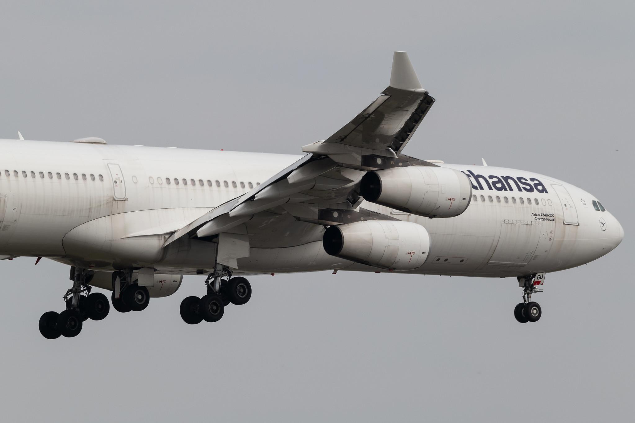 Frankfurt Airport: Lufthansa (LH / DLH) | Airbus A340-313 A343 | D-AIGU | MSN 0321