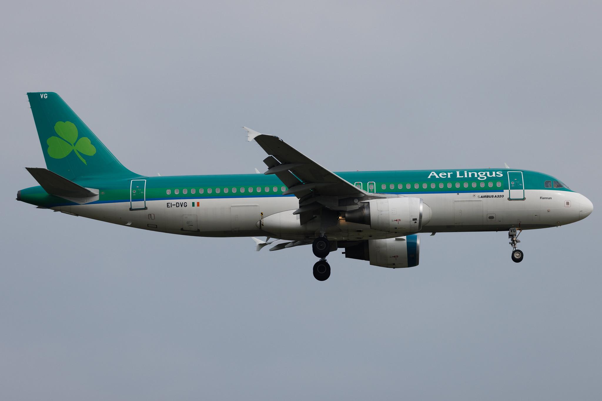 Frankfurt Airport: Aer Lingus (EI / EIN) | Airbus A320-214 A320 | EI-DVG | MSN 3318