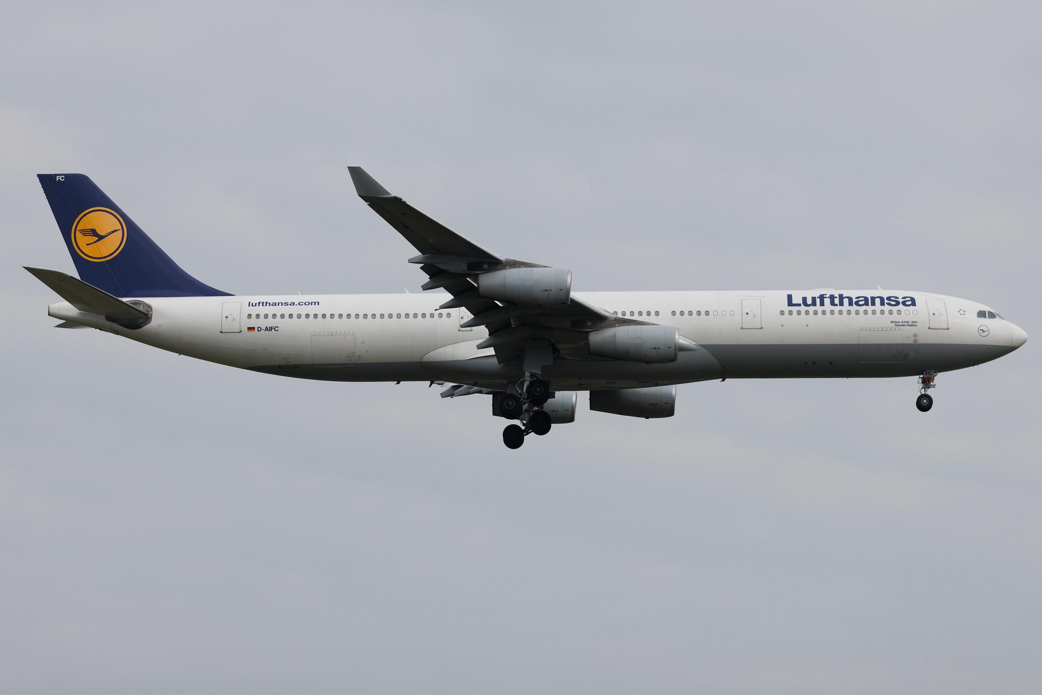 Frankfurt Airport: Lufthansa (LH / DLH) | Airbus A340-313 A343 | D-AIFC | MSN 0379