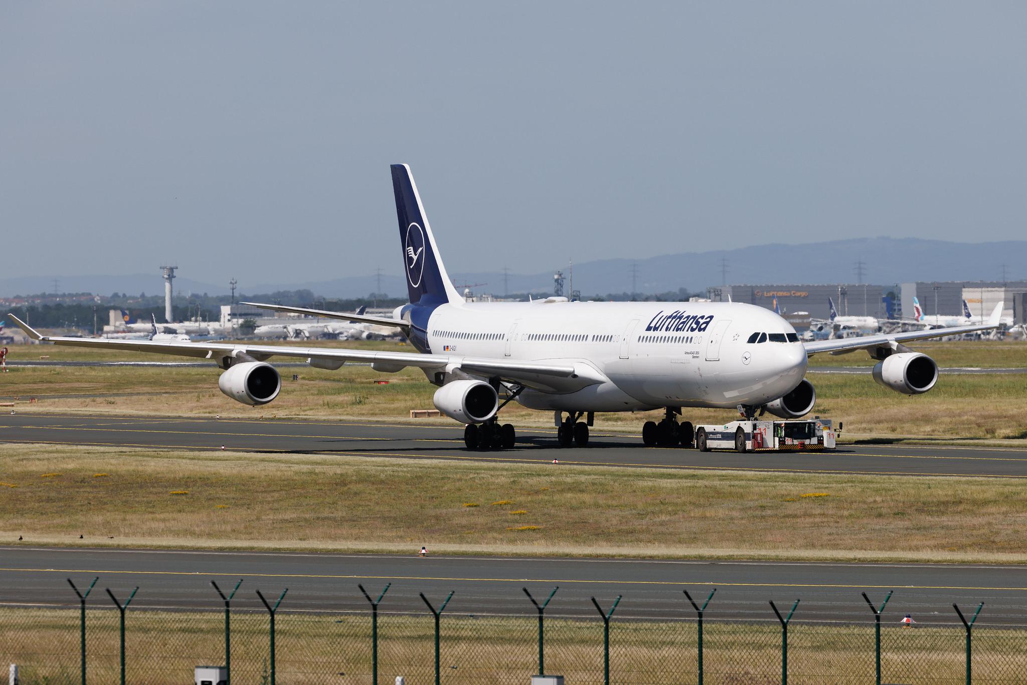 Frankfurt Airport: Lufthansa (LH / DLH) | Airbus A340-313 A343 | D-AIGY | MSN 0335