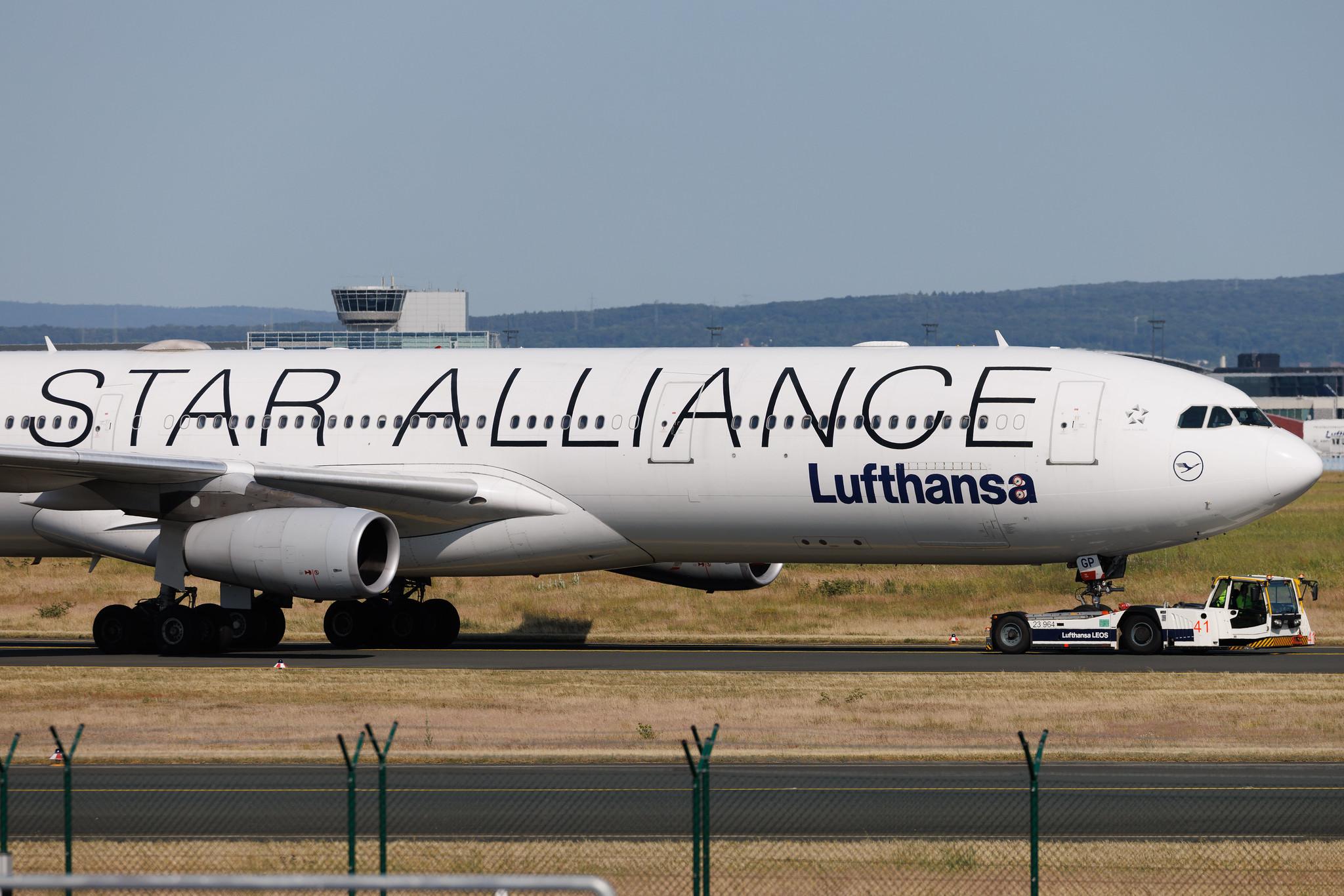 Frankfurt Airport: Lufthansa (LH / DLH) | Livery: Star Alliance Livery | Airbus A340-313 A343 | D-AIGP | MSN 0252