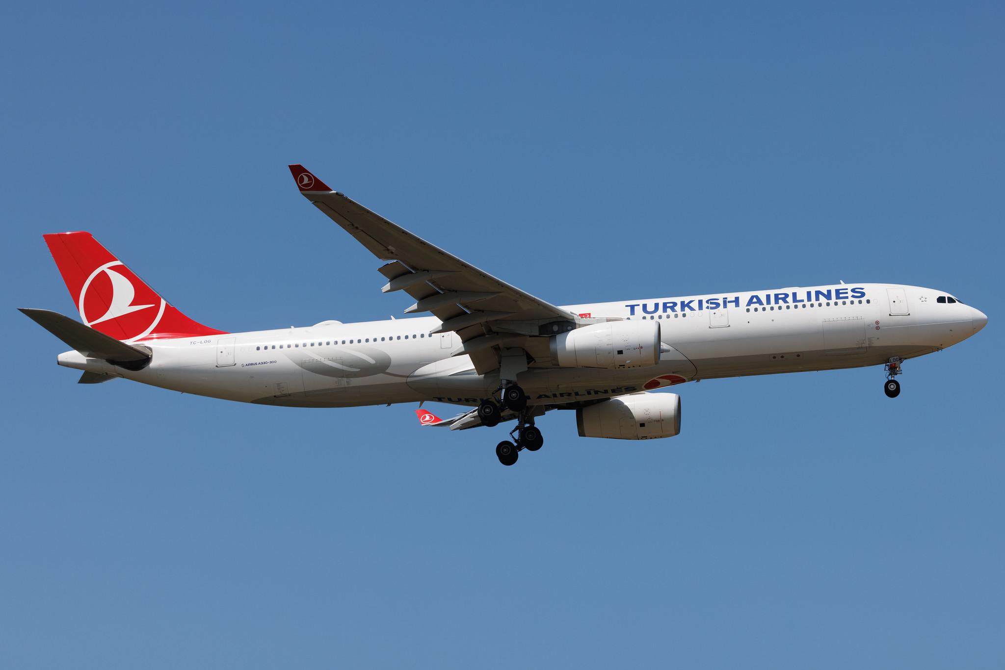 Frankfurt Airport: Turkish Airlines (TK / THY) | Airbus A330-343 A333 | TC-LOG | MSN 1651