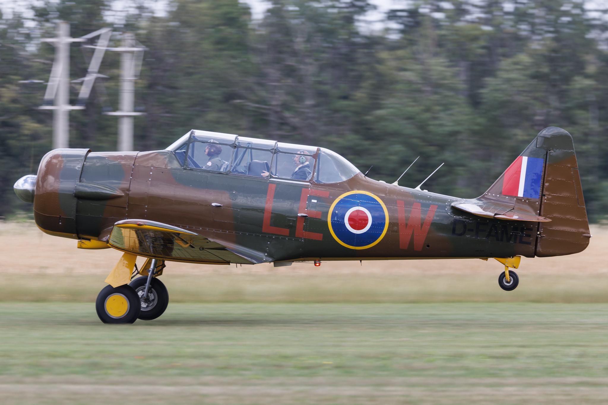 Flugplatz Bienenfarm: Private owner | Canadian Car and Foundry T-6 Harvard | D-FAME | MSN CCF4-77