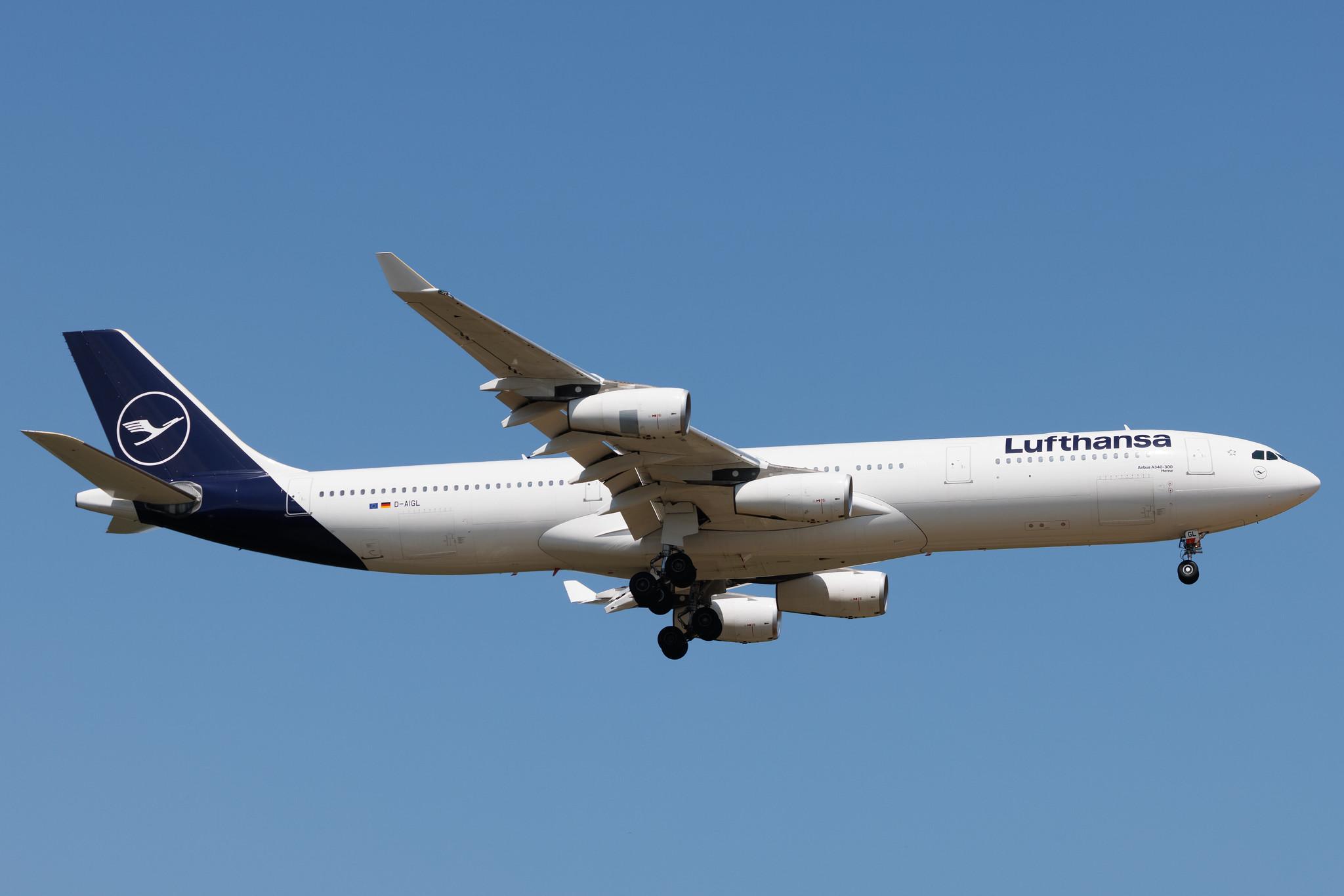 Frankfurt Airport: Lufthansa (LH / DLH) | Airbus A340-313 A343 | D-AIGL | MSN 0135
