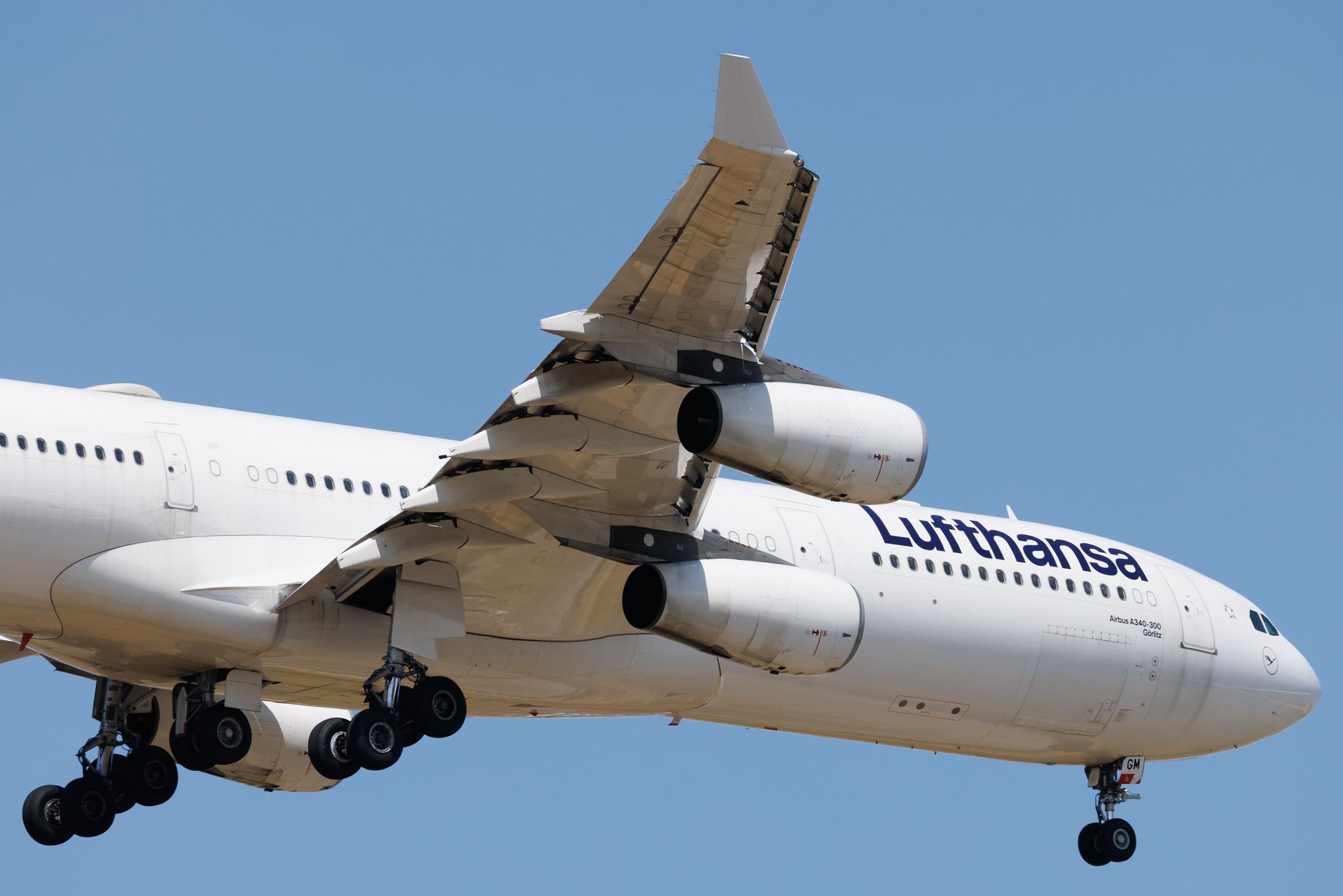 Frankfurt Airport: Lufthansa (LH / DLH) | Airbus A340-313 A343 | D-AIGM | MSN 0158