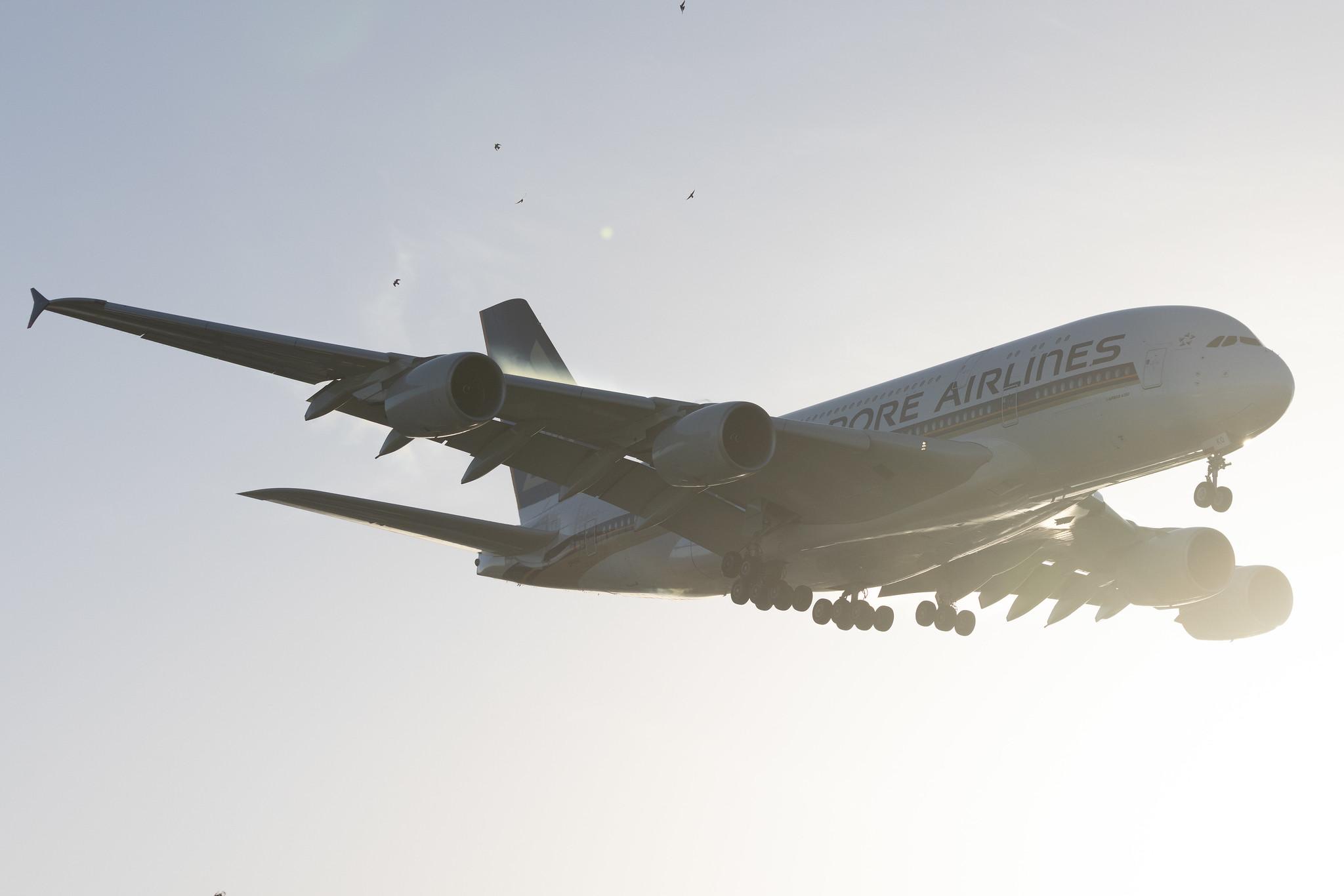 London Heathrow: Singapore Airlines (SQ / SIA) | Airbus A380-841 A388 | 9V-SKQ | MSN 079