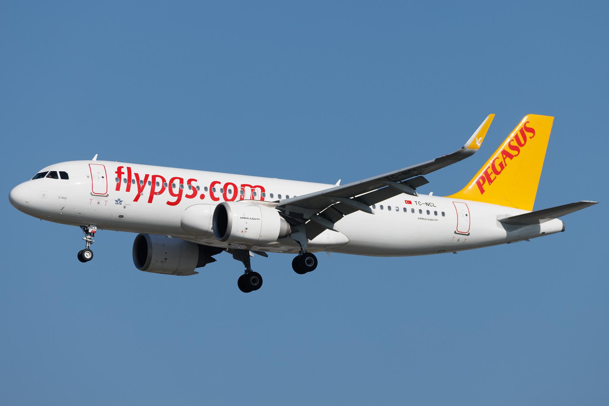Frankfurt Airport: Pegasus (PC / PGT) | Operator: Pegasus Airlines | Airbus A320-251N A20N | TC-NCL | MSN 09411