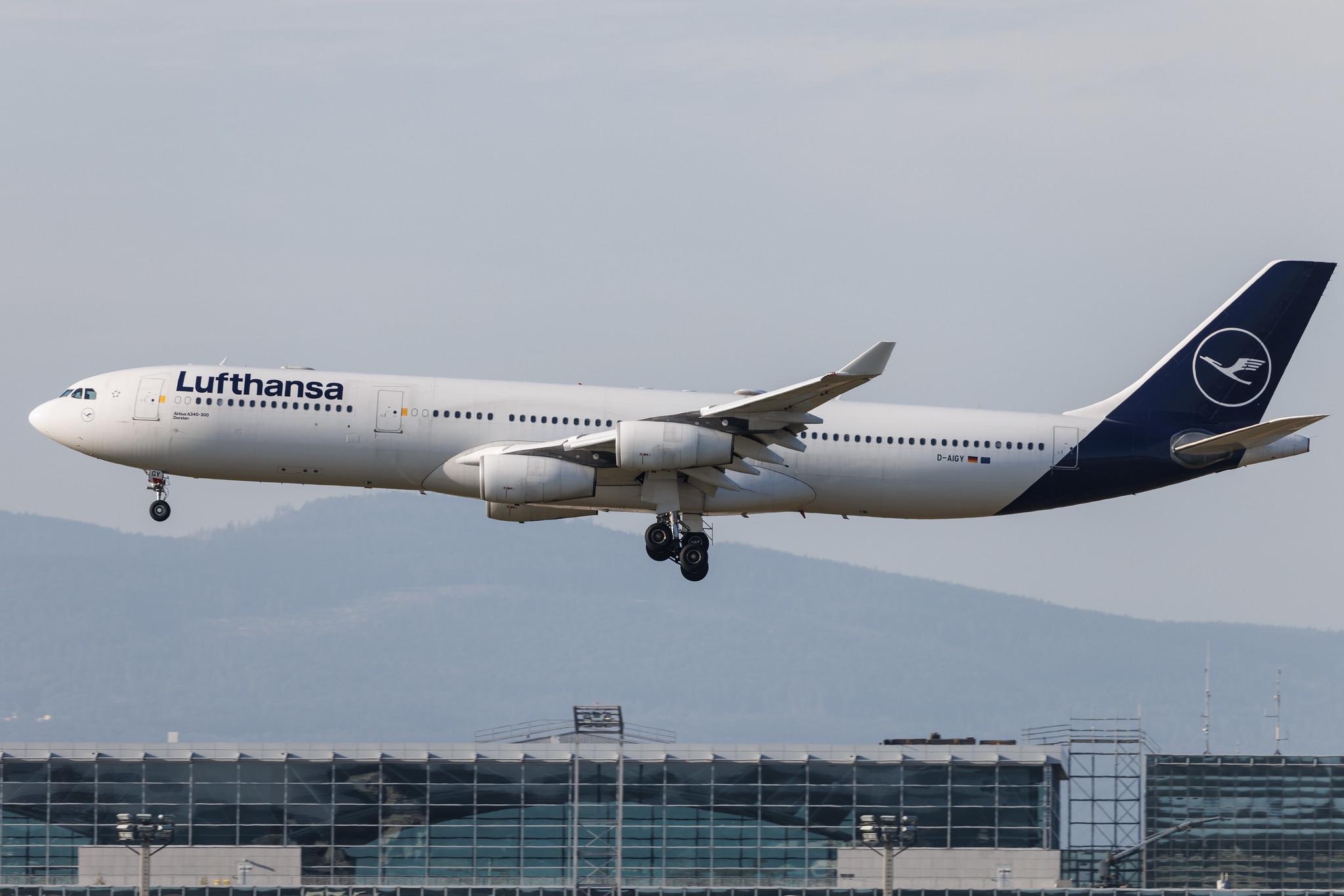 Frankfurt Airport: Lufthansa (LH / DLH) | Airbus A340-313 A343 | D-AIGY | MSN 0335