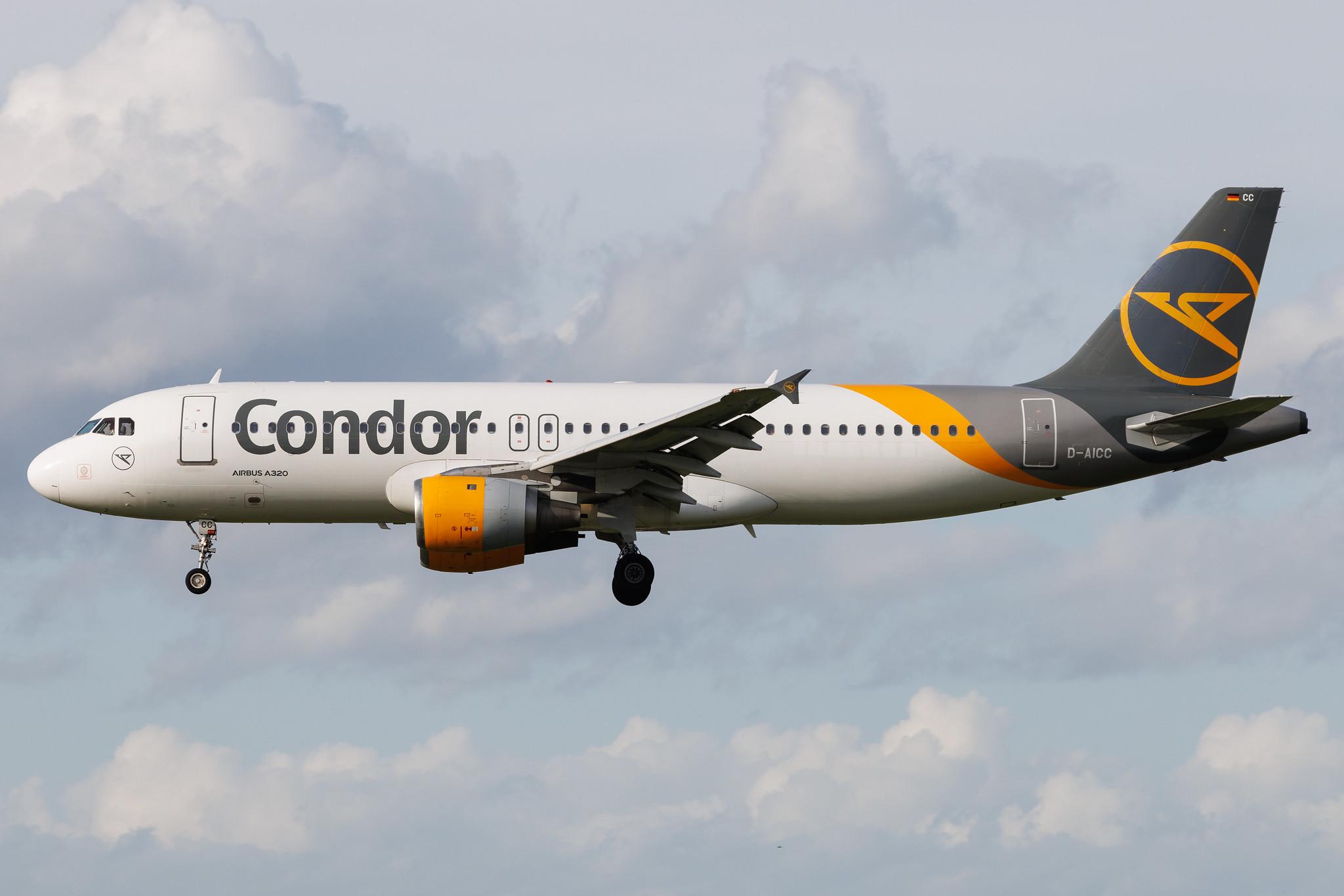 Hamburg Airport: Condor (DE / CFG) | Airbus A320-212 A320 | D-AICC | MSN 0809