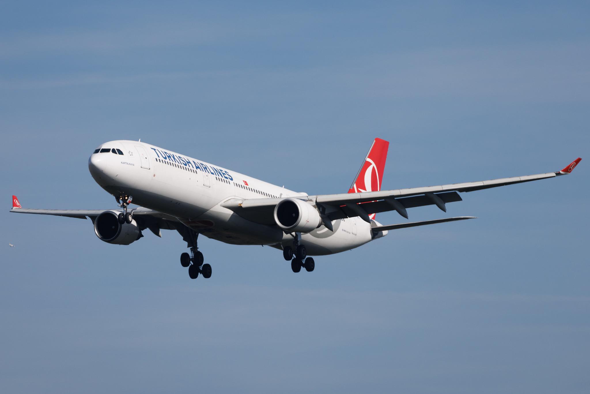 Frankfurt Airport: Turkish Airlines (TK / THY) | Airbus A330-303 A333 | TC-JNZ | MSN 1487