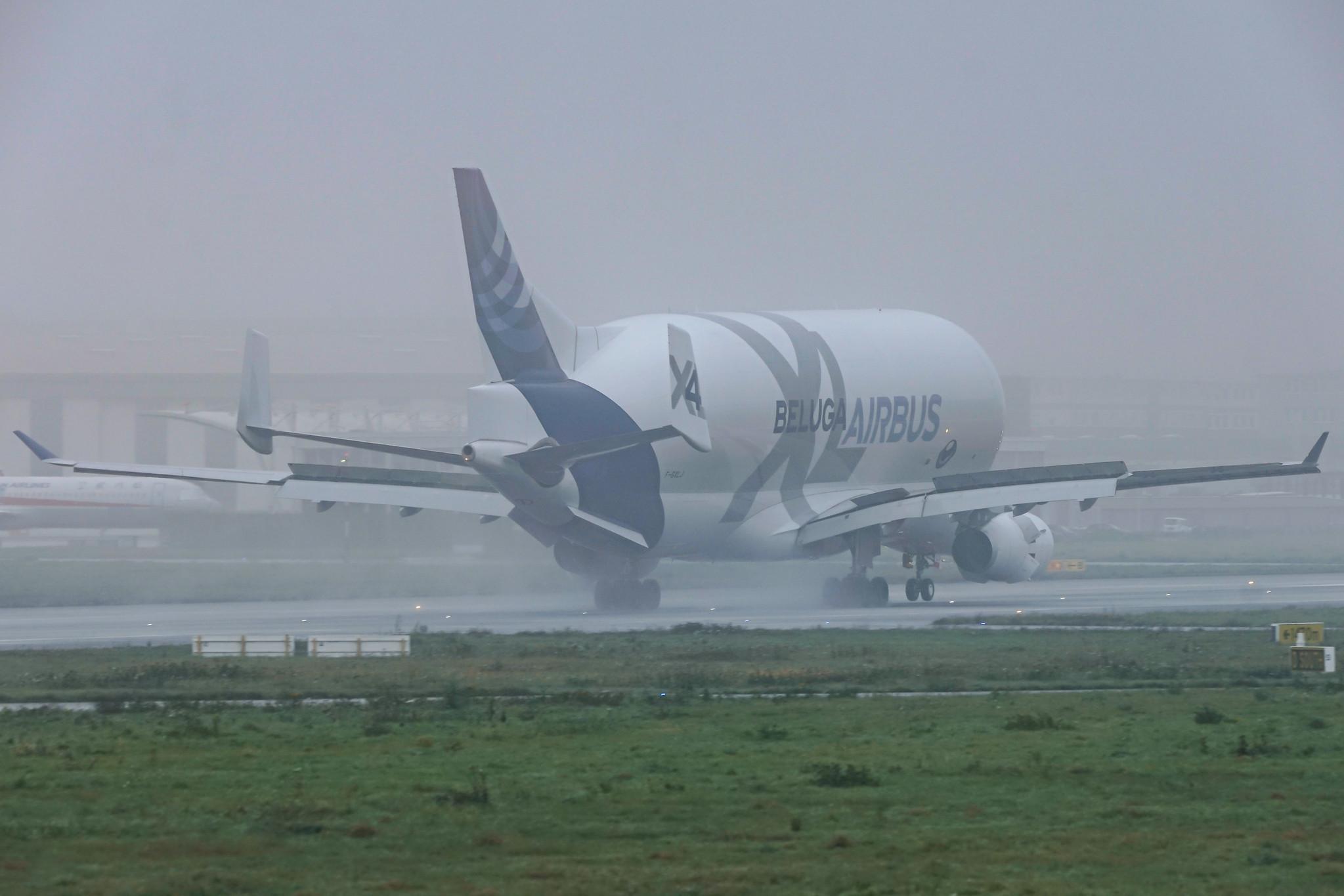 Hamburg Finkenwerder: Airbus Transport International (4Y / BGA) | Airbus A330-743L Beluga XL A337 | F-GXLJ | MSN 1985