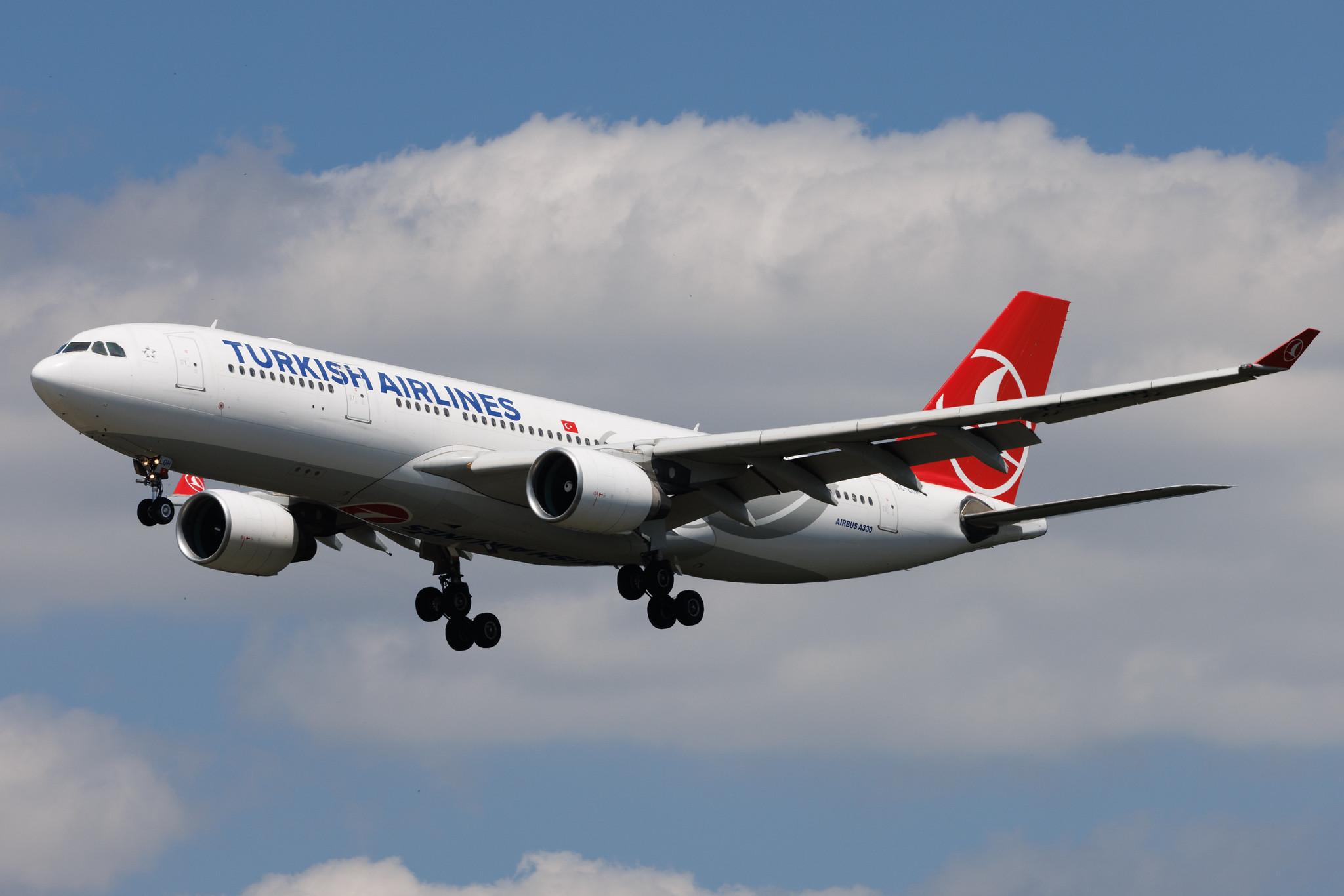 Frankfurt Airport: Turkish Airlines (TK / THY) | Airbus A330-223 A332 | TC-LOH | MSN 1213