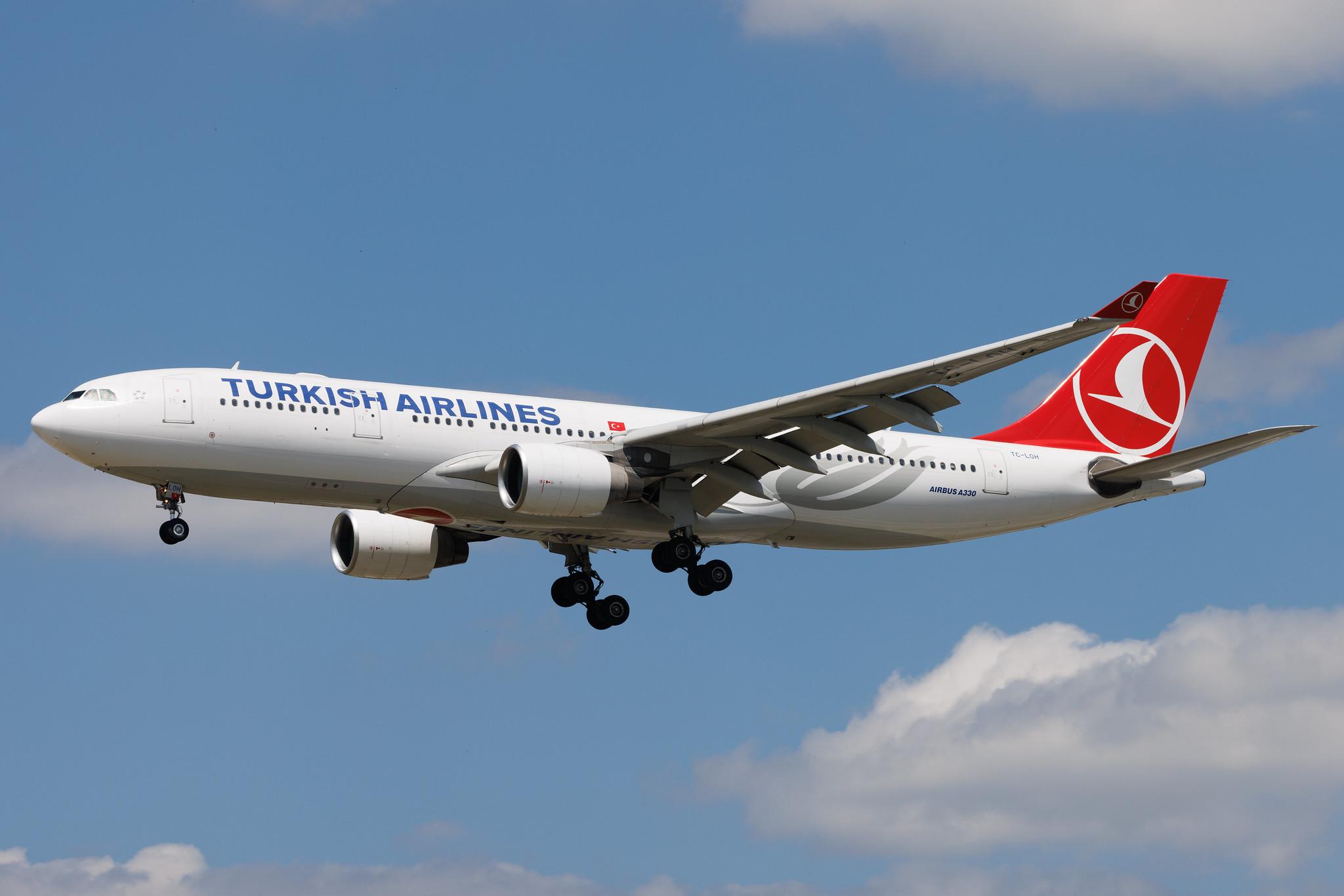 Frankfurt Airport: Turkish Airlines (TK / THY) | Airbus A330-223 A332 | TC-LOH | MSN 1213