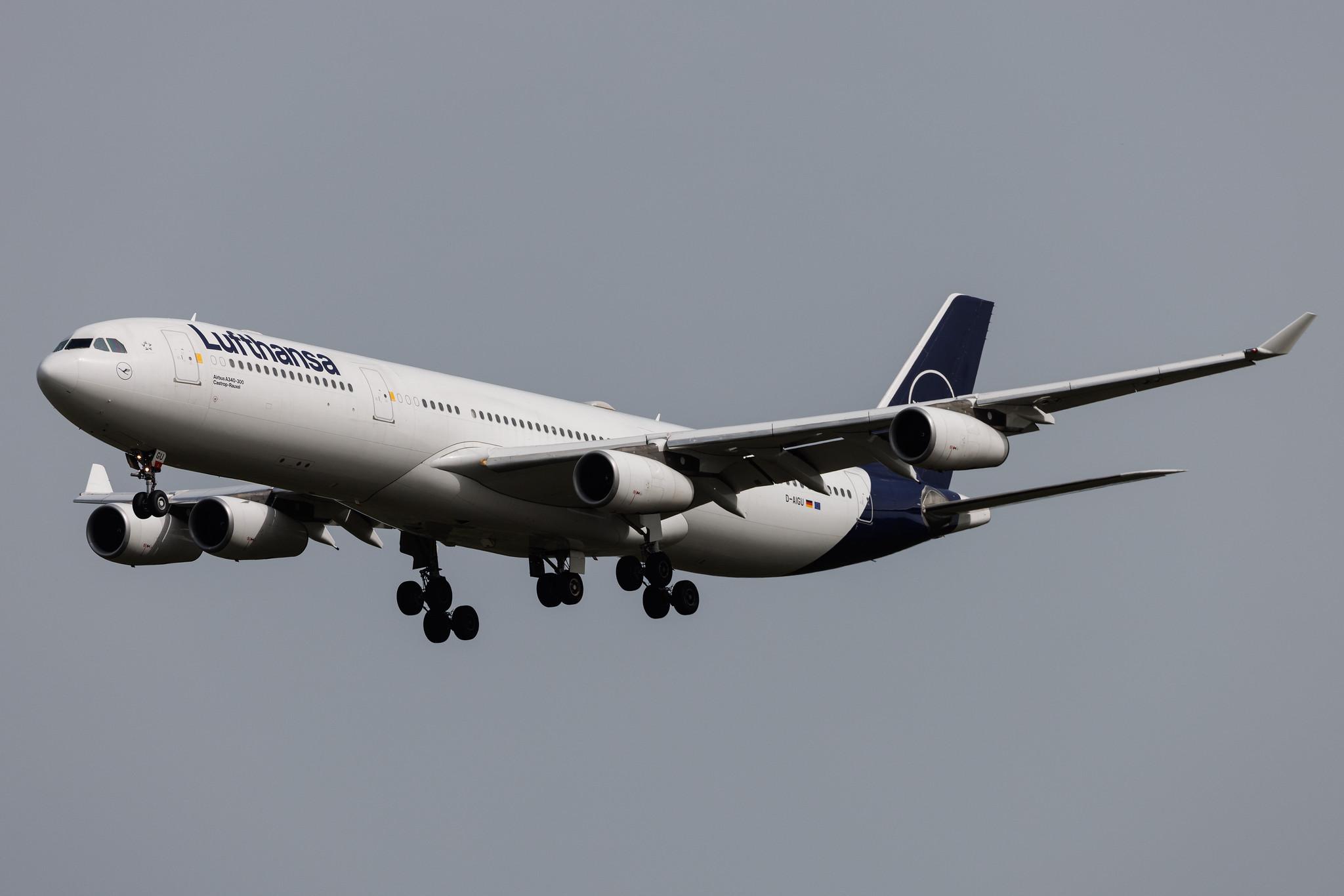 Frankfurt Airport: Lufthansa (LH / DLH) | Airbus A340-313 A343 | D-AIGU | MSN 0321