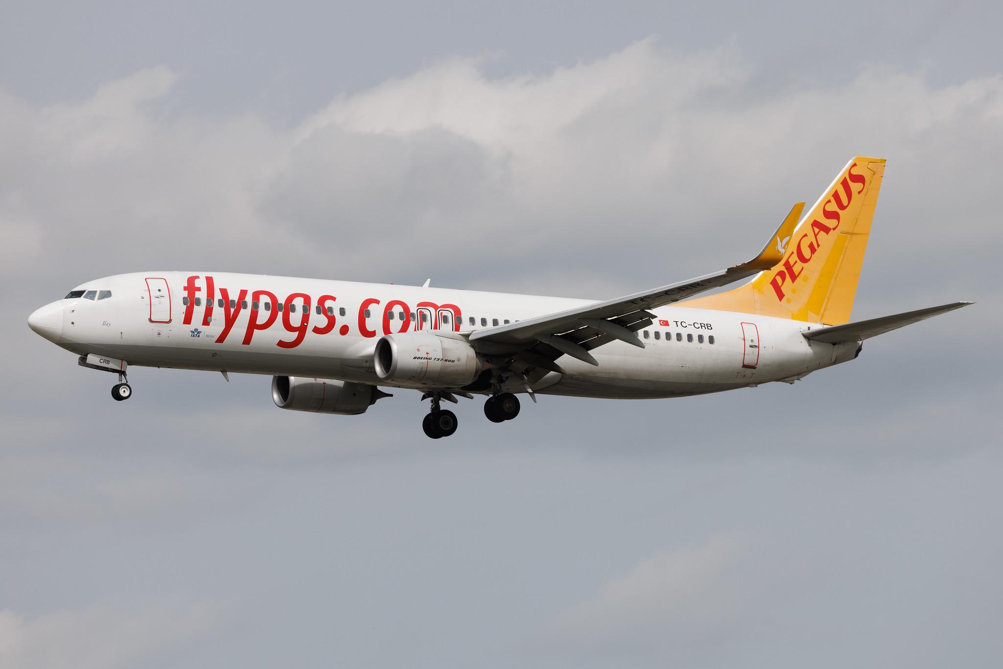 Frankfurt Airport: Pegasus (PC / PGT) | Boeing 737-8AL B738 | TC-CRB | MSN 62687