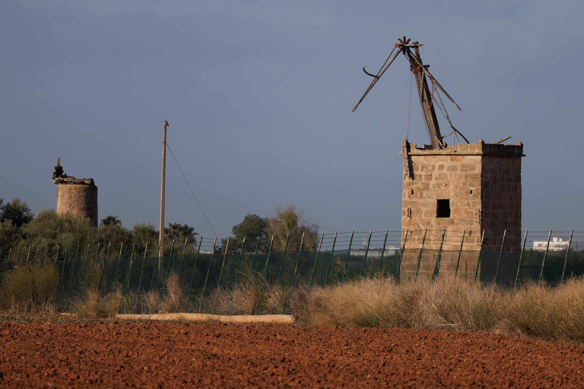 Palma de Mallorca Airport: