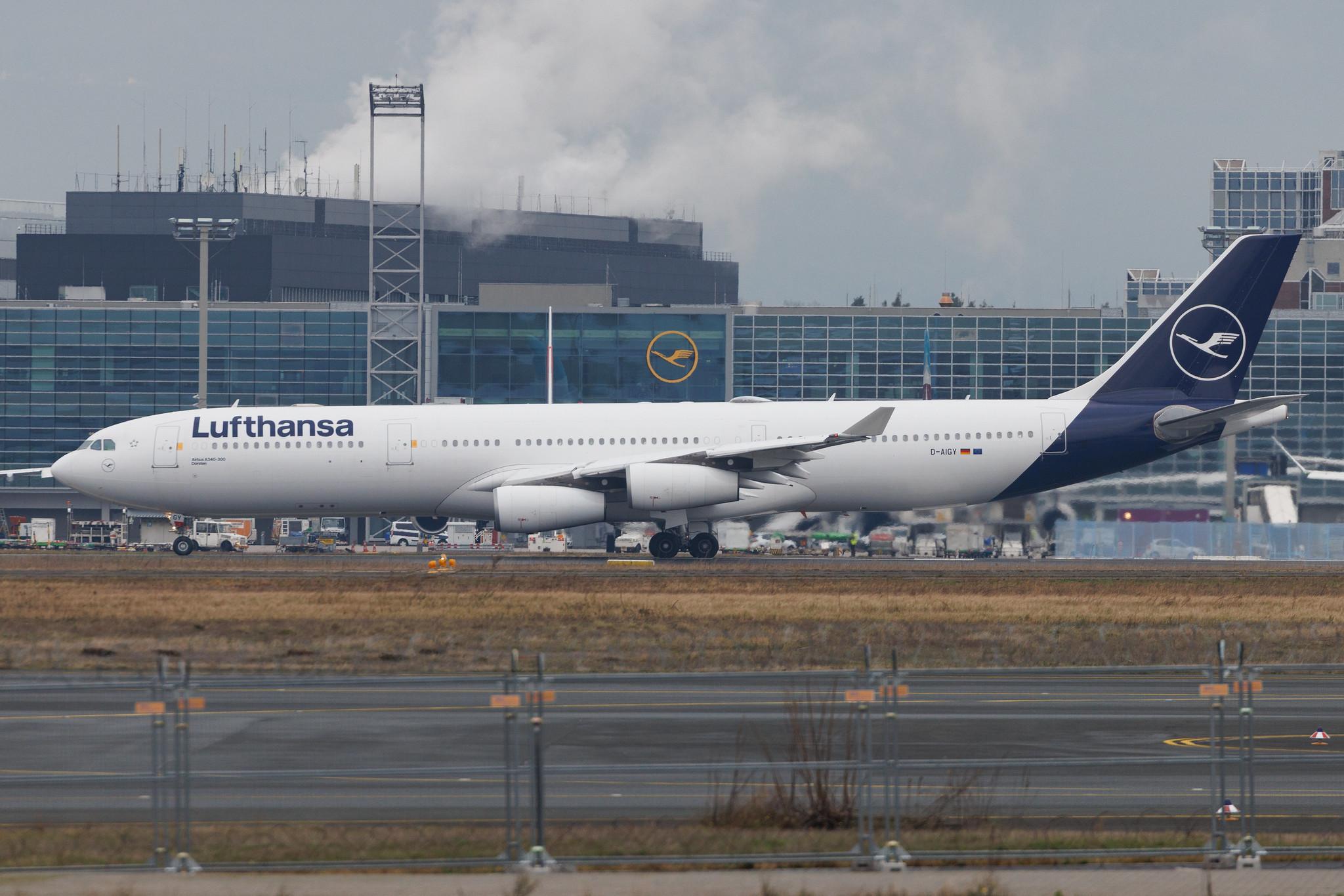 Frankfurt Airport: Lufthansa (LH / DLH) | Airbus A340-313 A343 | D-AIGY | MSN 0335